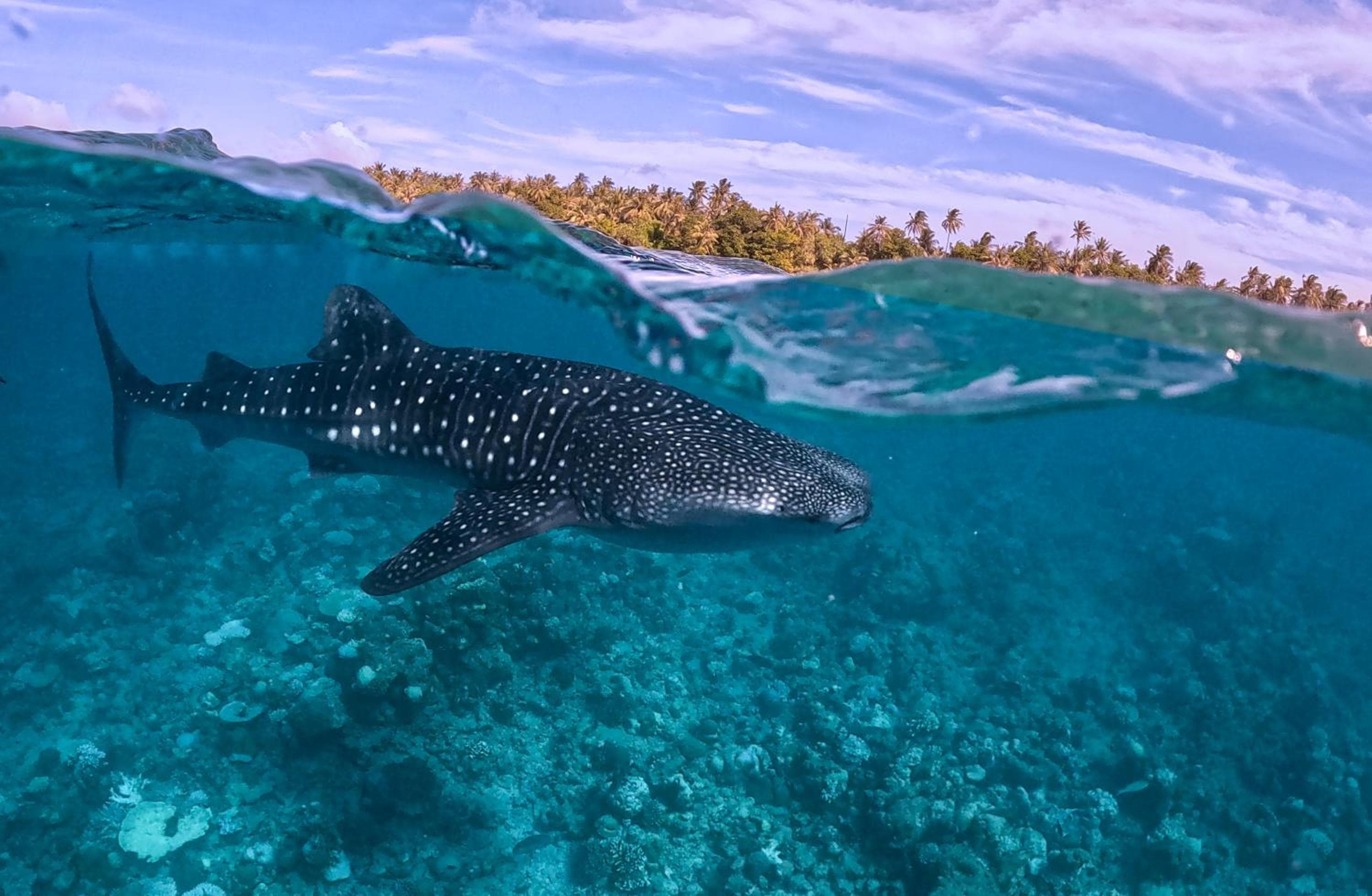 Sands Grand - View 29