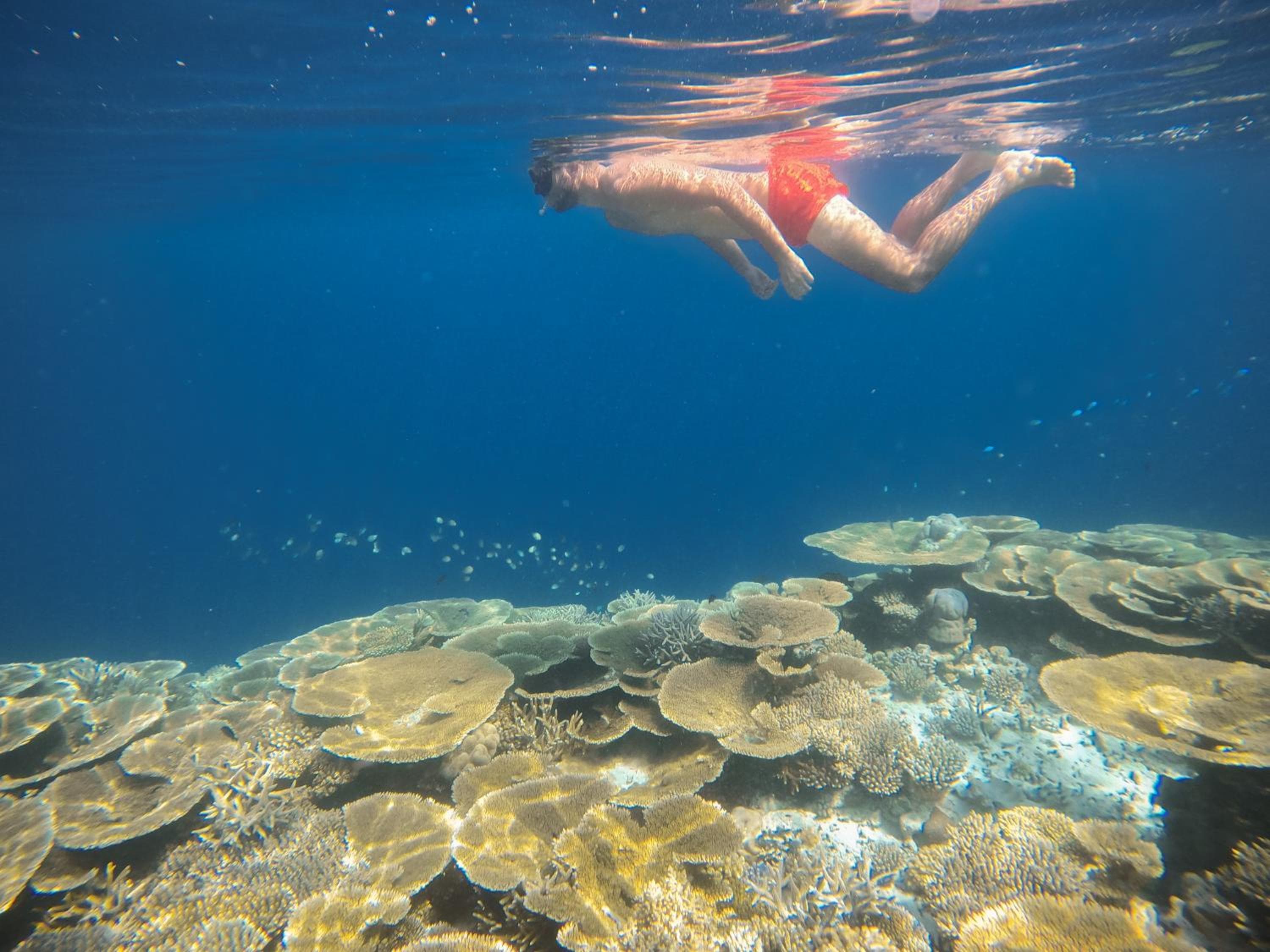 Ostrov Beach - View 38