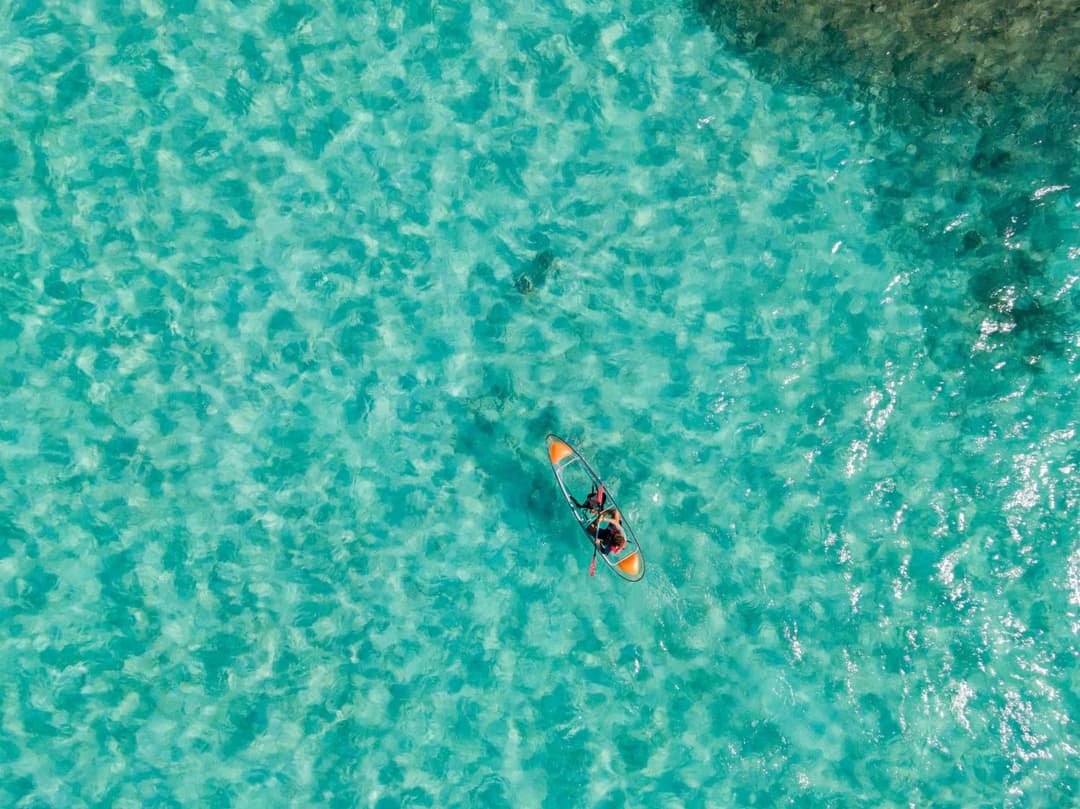 Nova Maldives - View 67