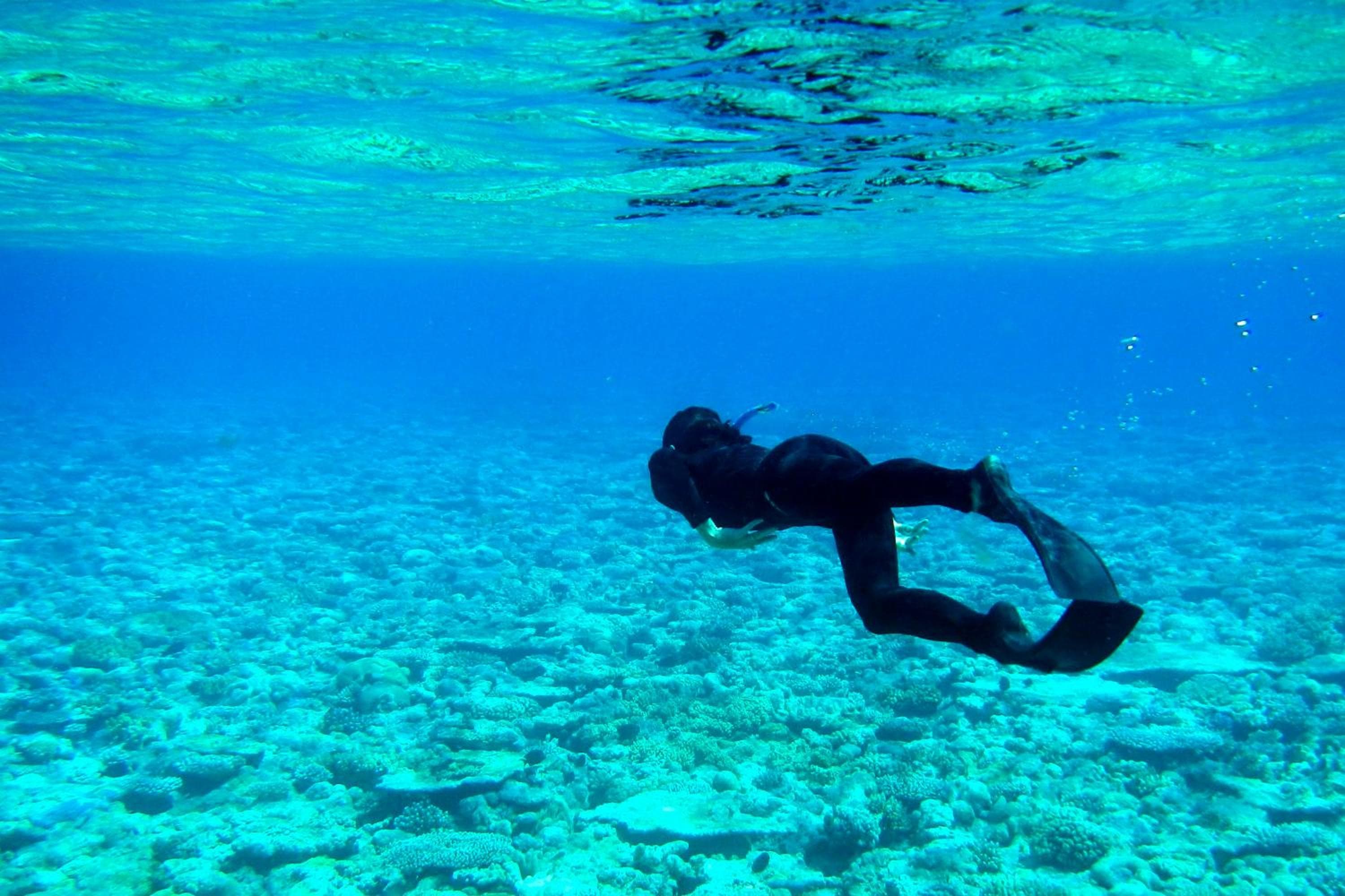 Hotel Ocean Grand at Hulhumale - View 32