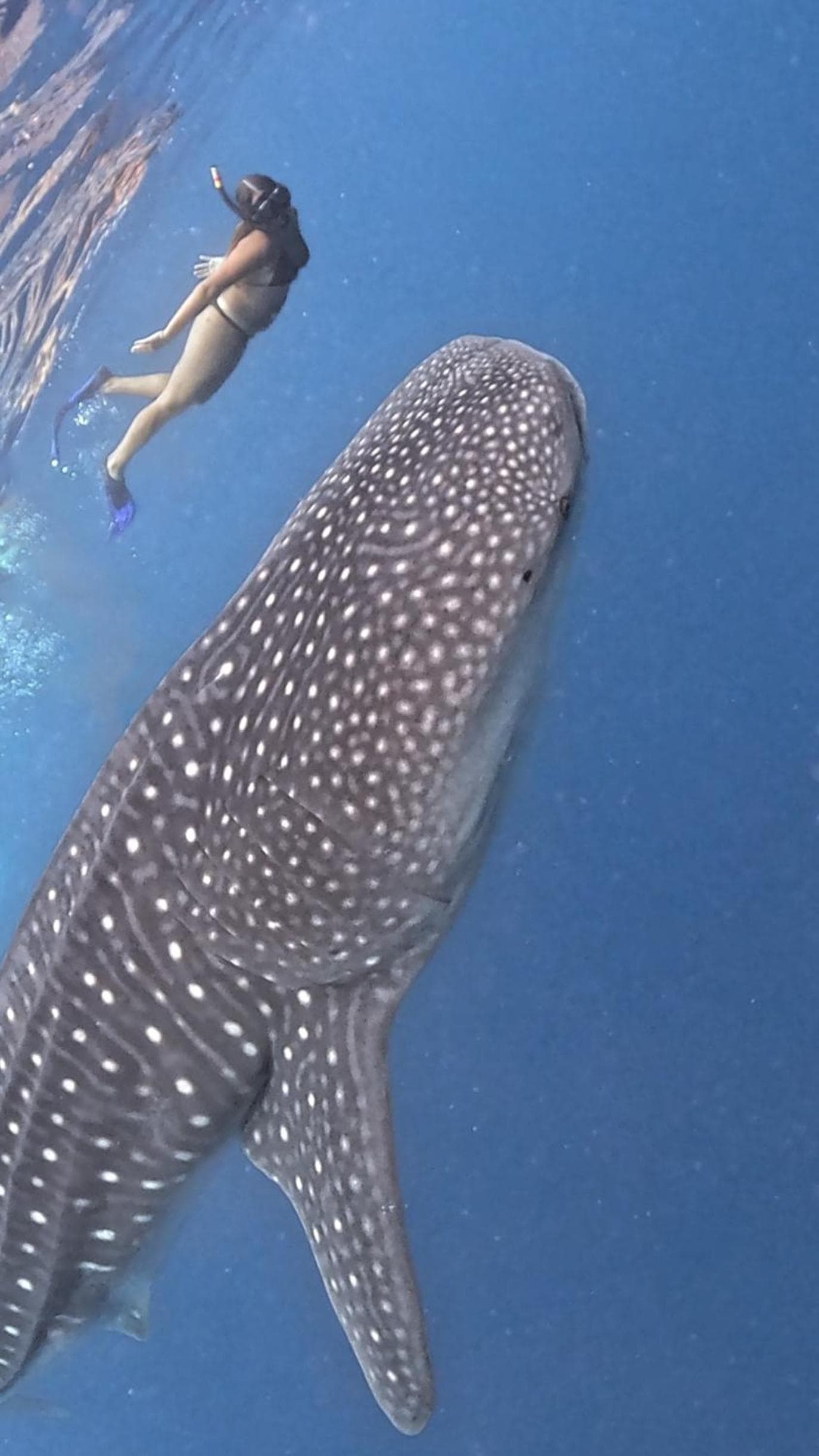 Sands Grand - View 13