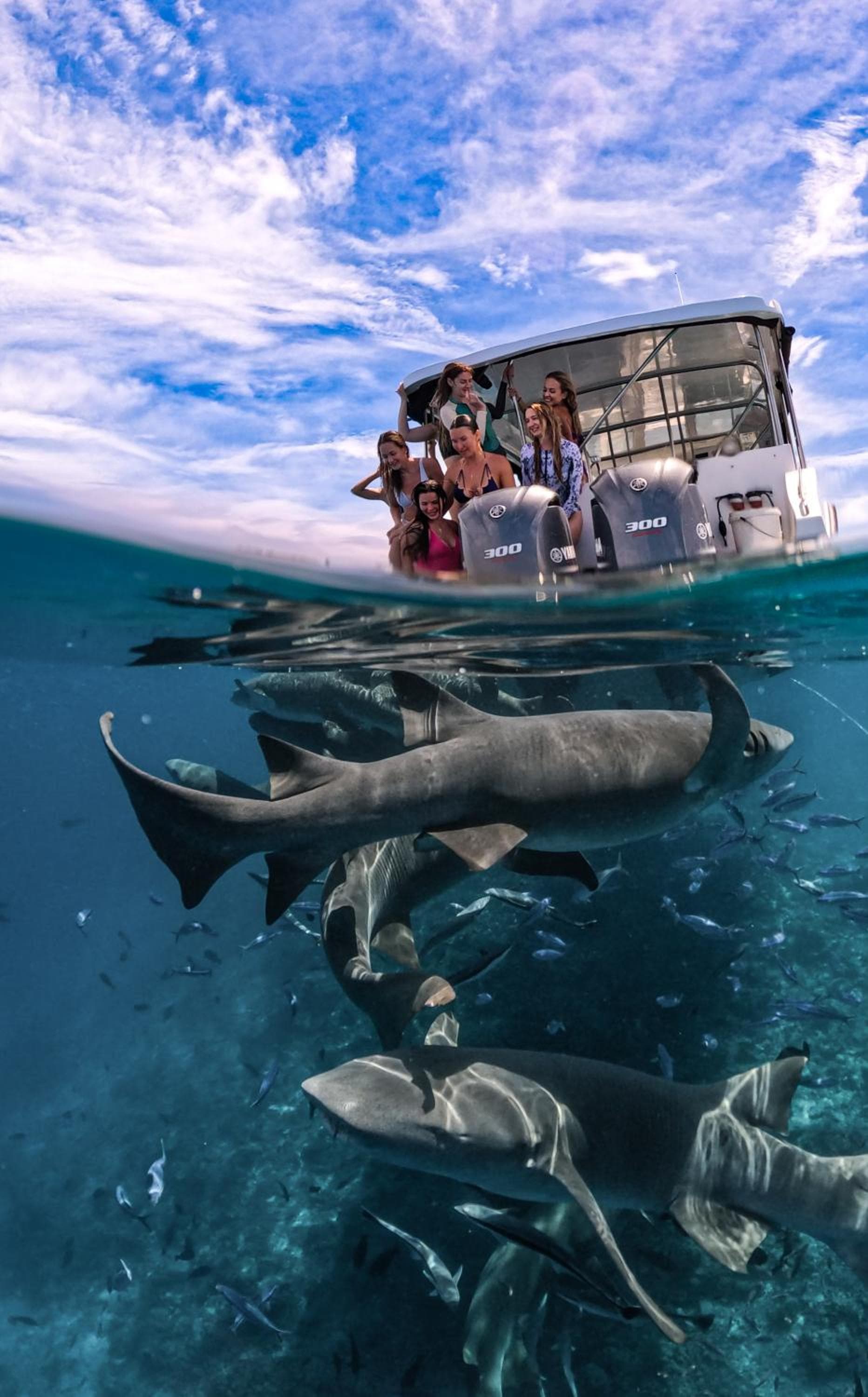 Sands Grand - View 39