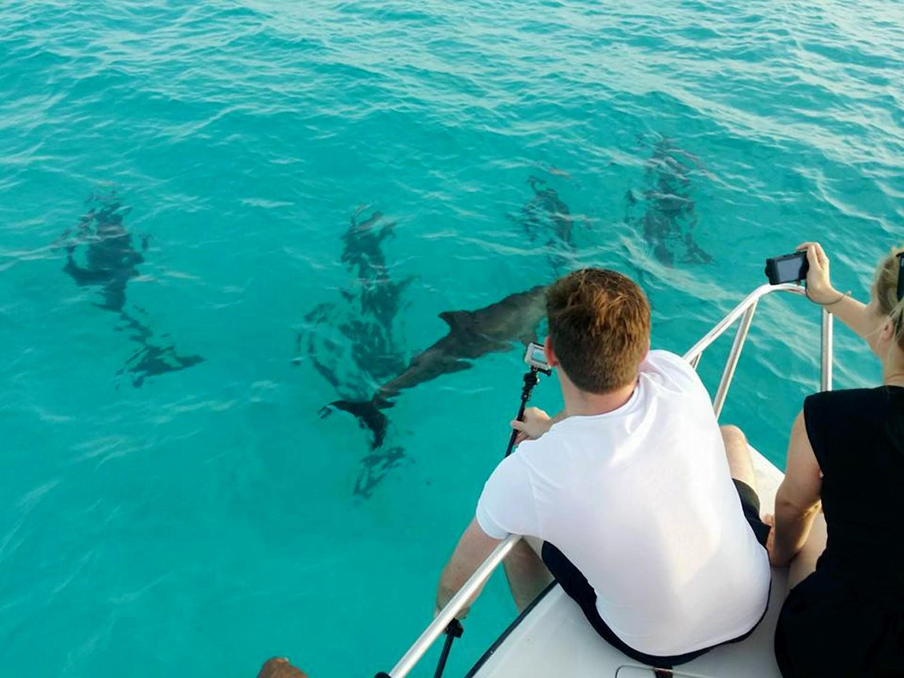 Aveyla Manta Village - View 45