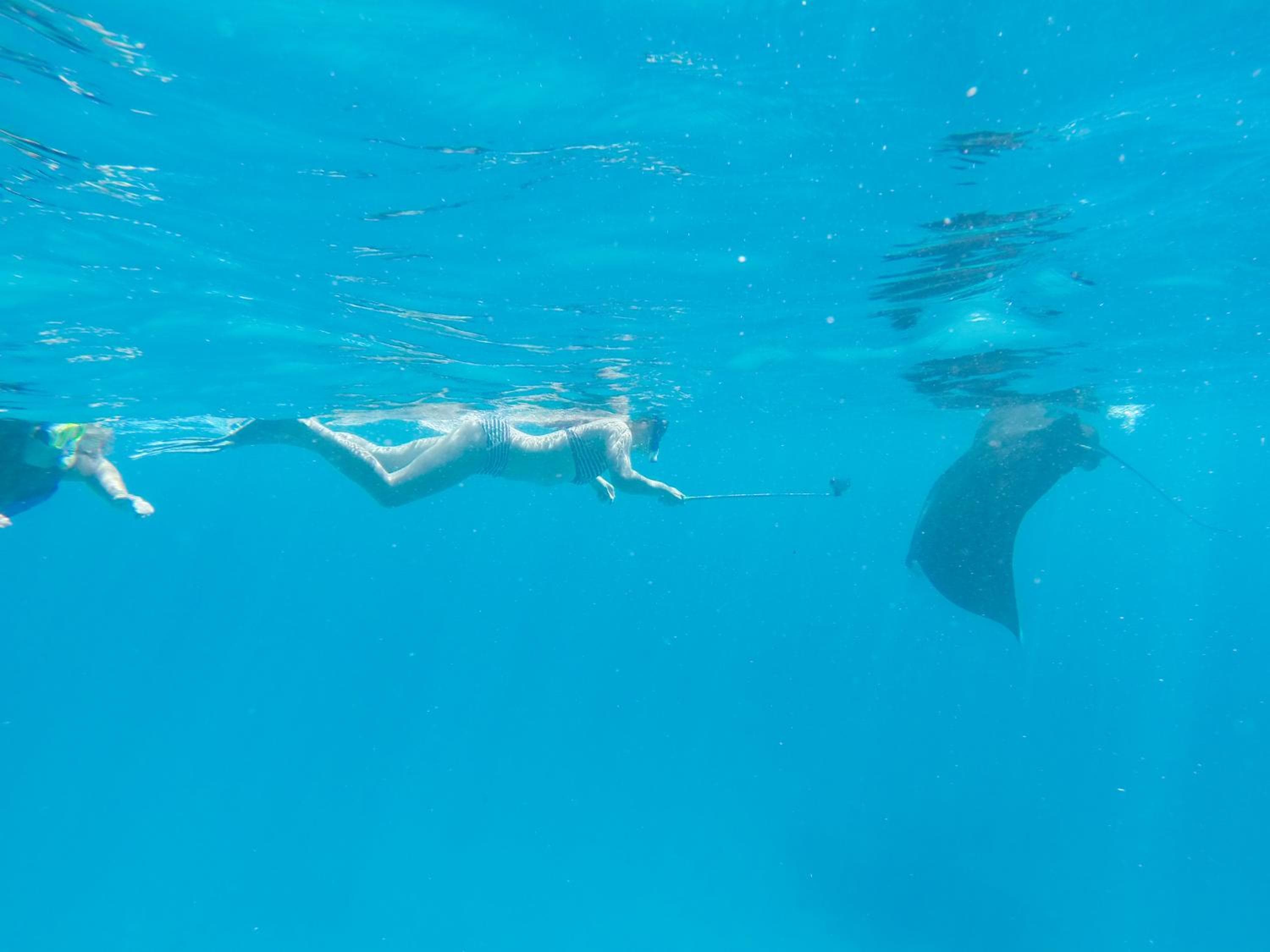 Ganduvaru Villa - View 75