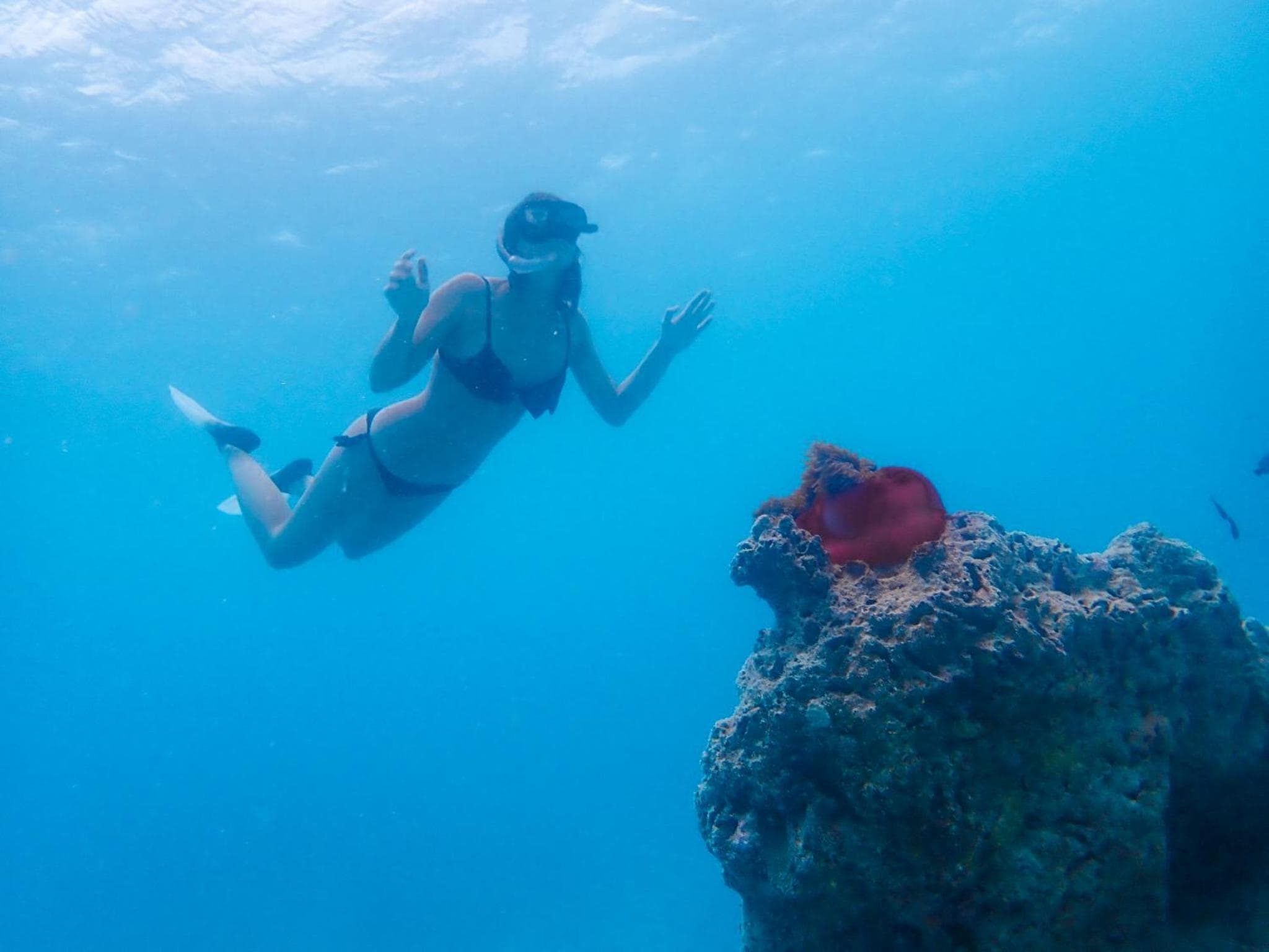 Ganduvaru Villa - View 59