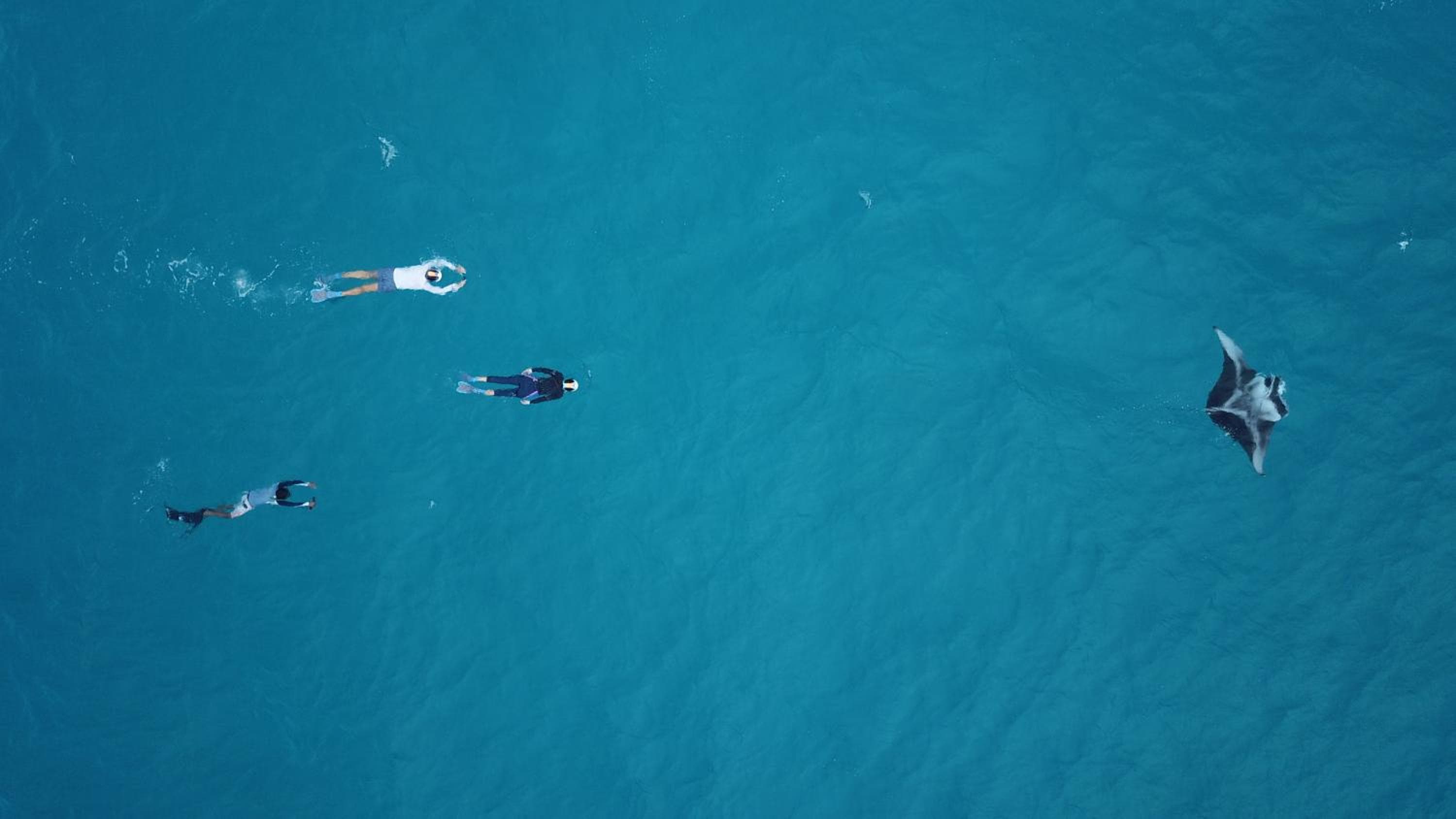 Ganduvaru Villa - View 83