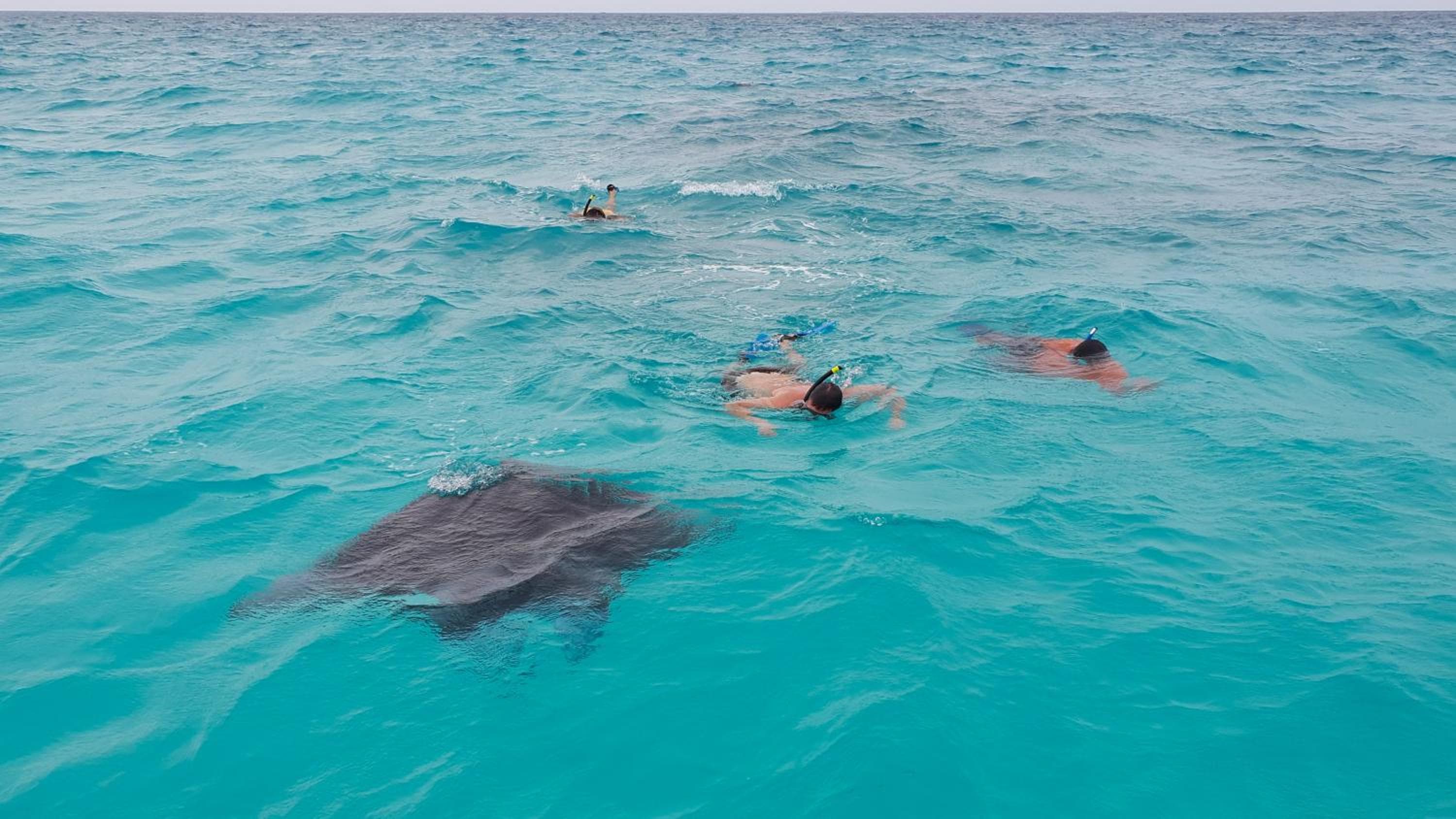 Ganduvaru Villa - View 65