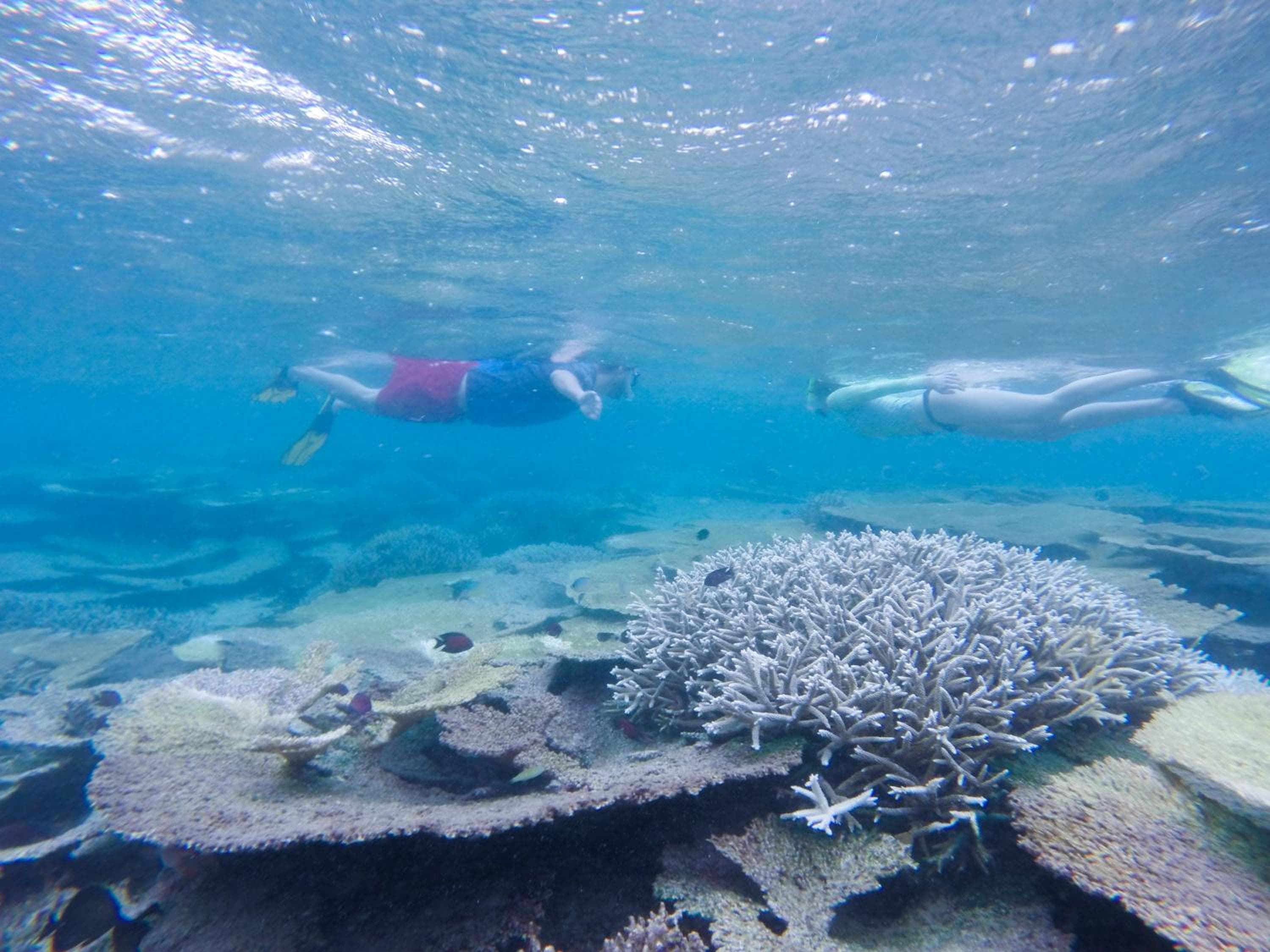 Ganduvaru Villa - View 101