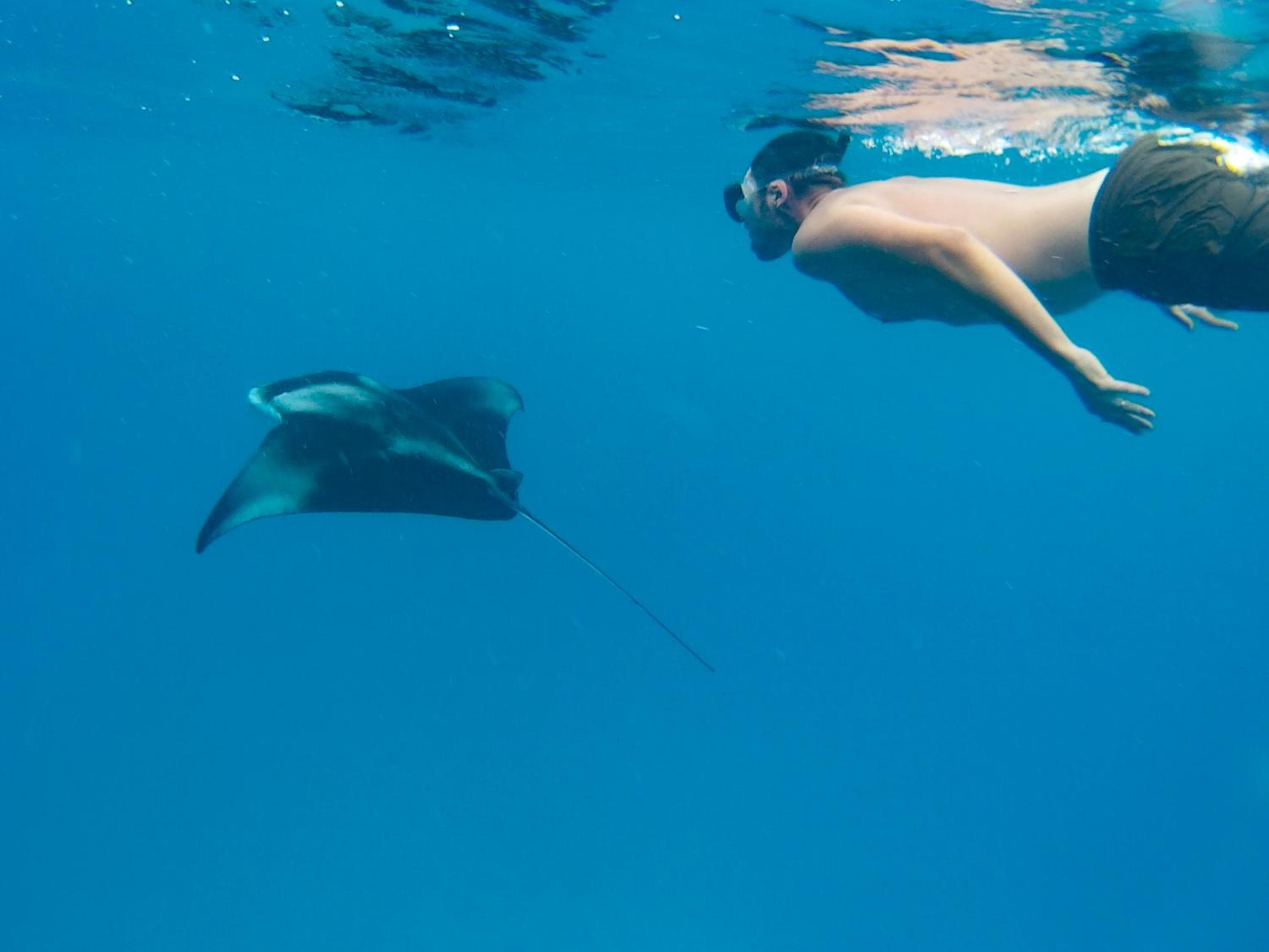 Ganduvaru Villa - View 84