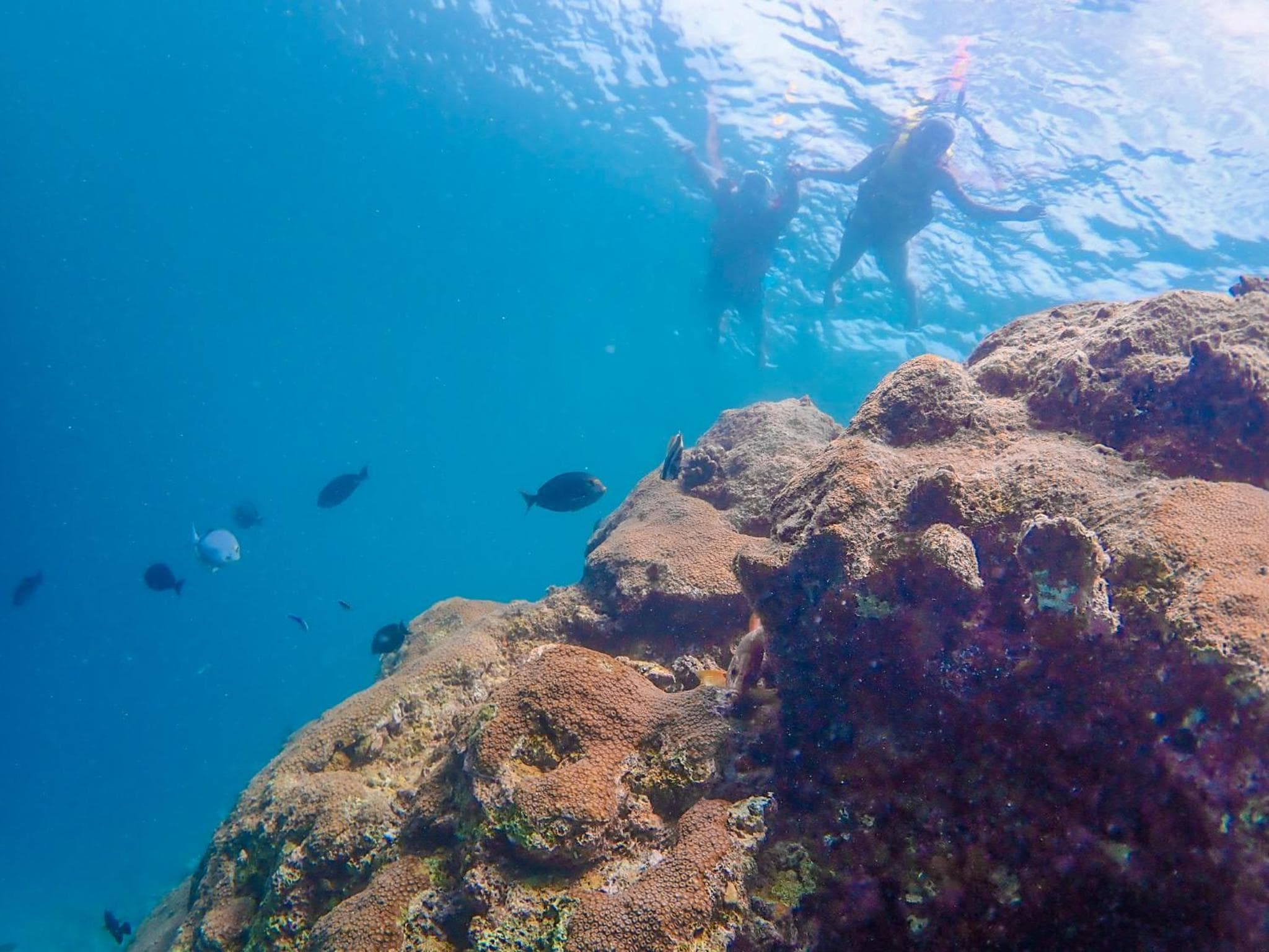 Ganduvaru Villa - View 93