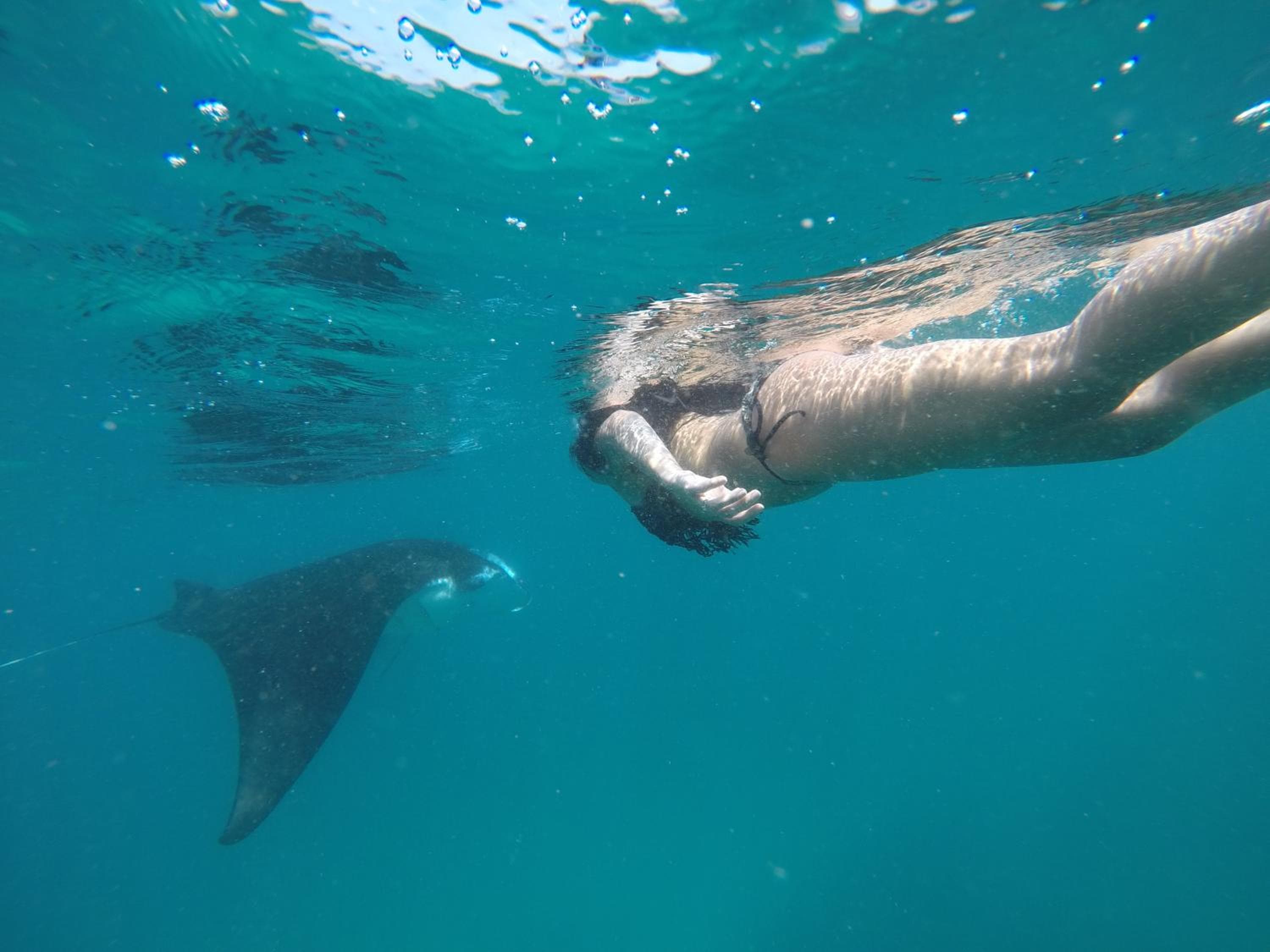 Ganduvaru Villa - View 97