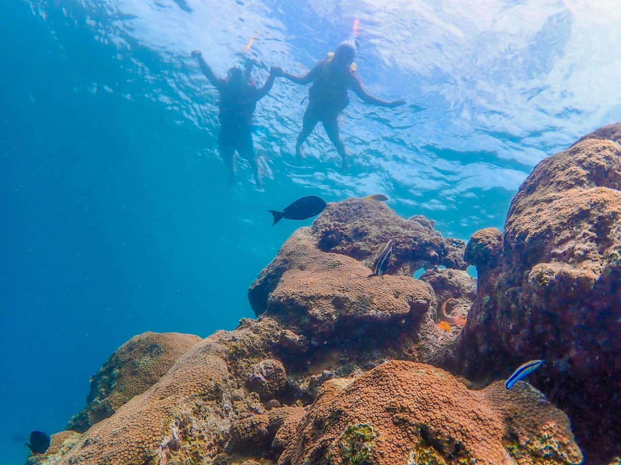 Ganduvaru Villa - View 100