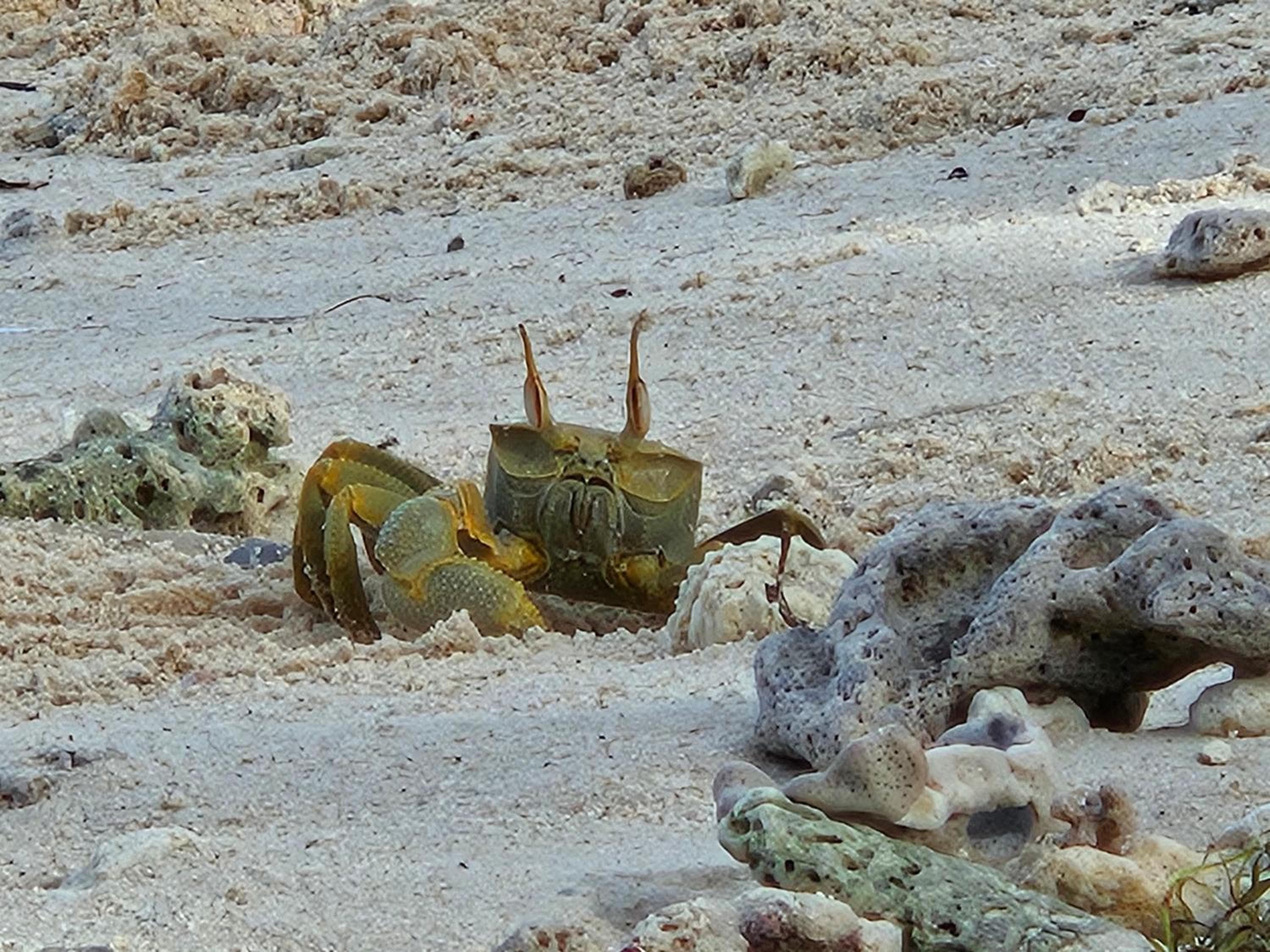 Sunset Villa - View 12