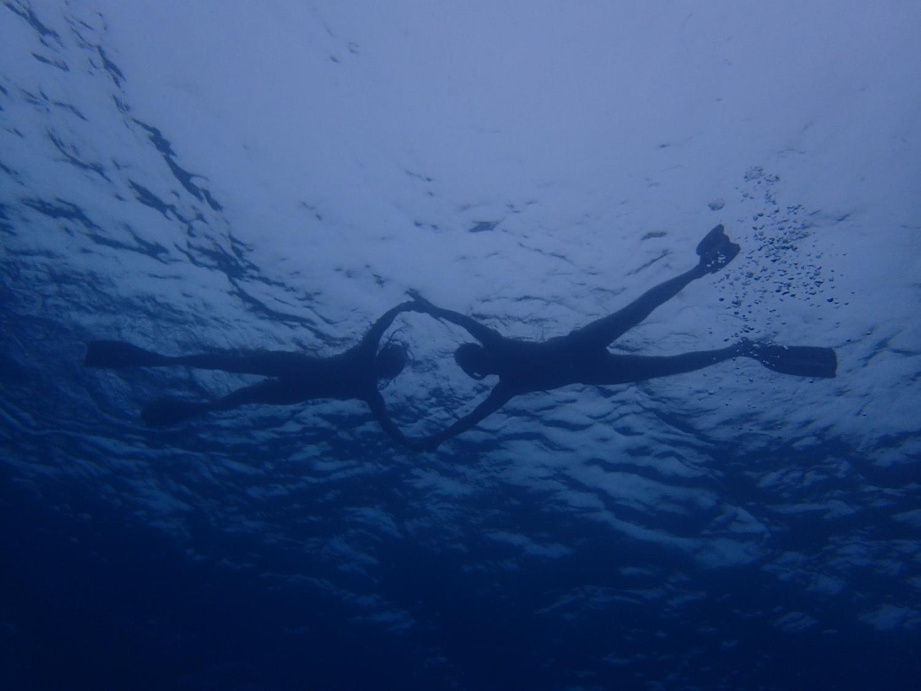 SeaLaVie Inn - View 23