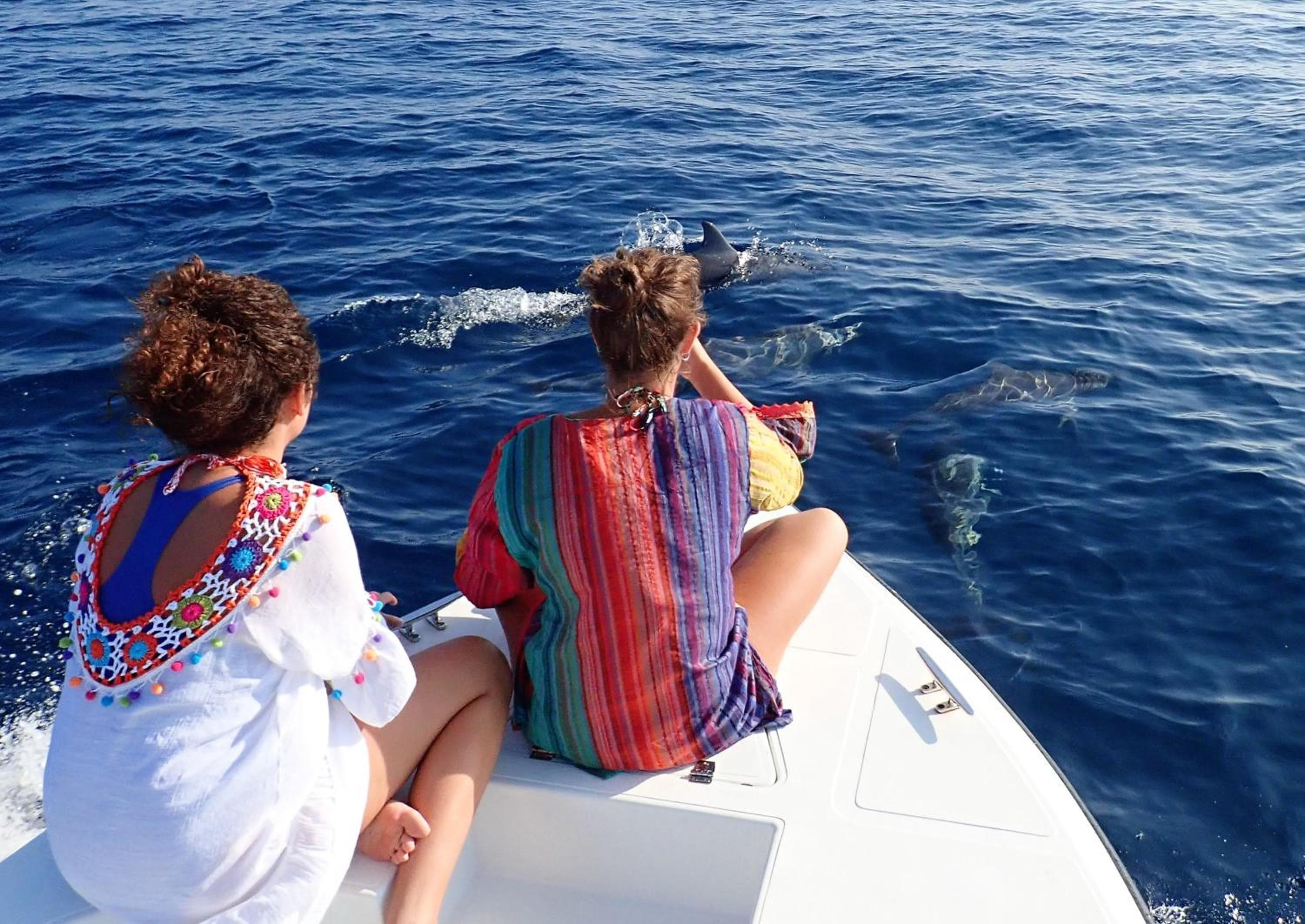 SeaLaVie Inn - View 25