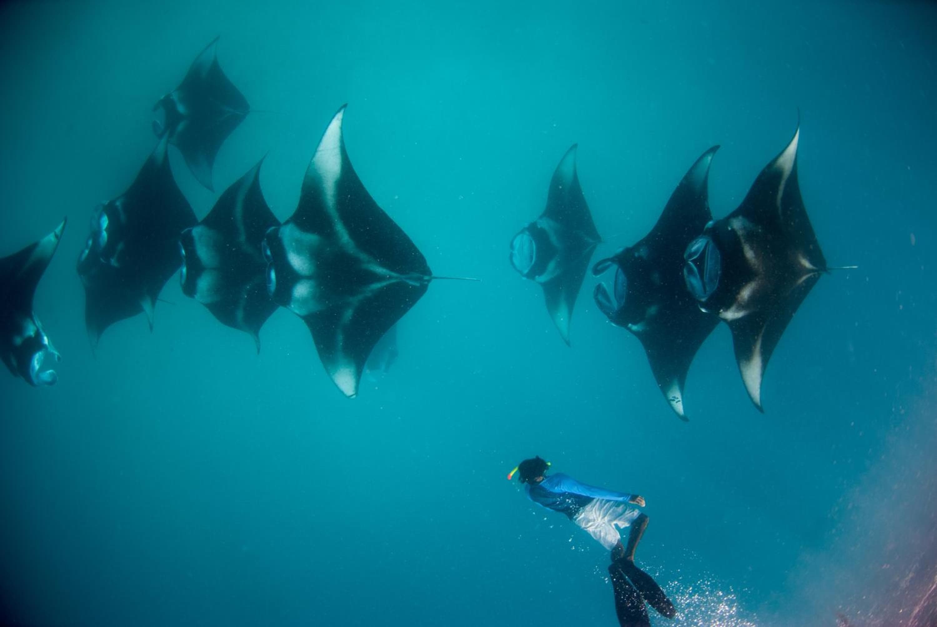 Aveyla Manta Village - View 59