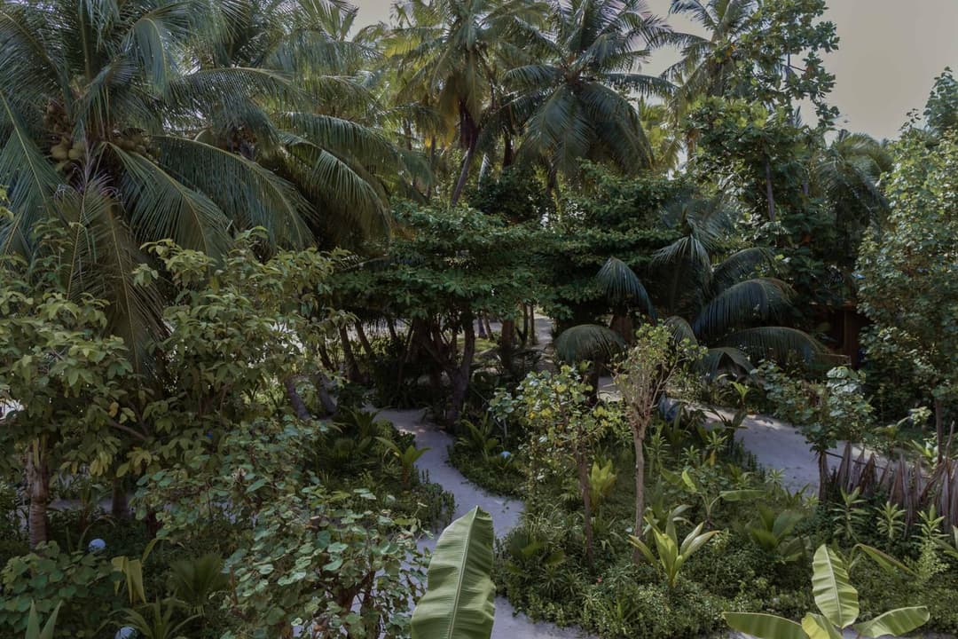 Ecoboo Maldives - View 6