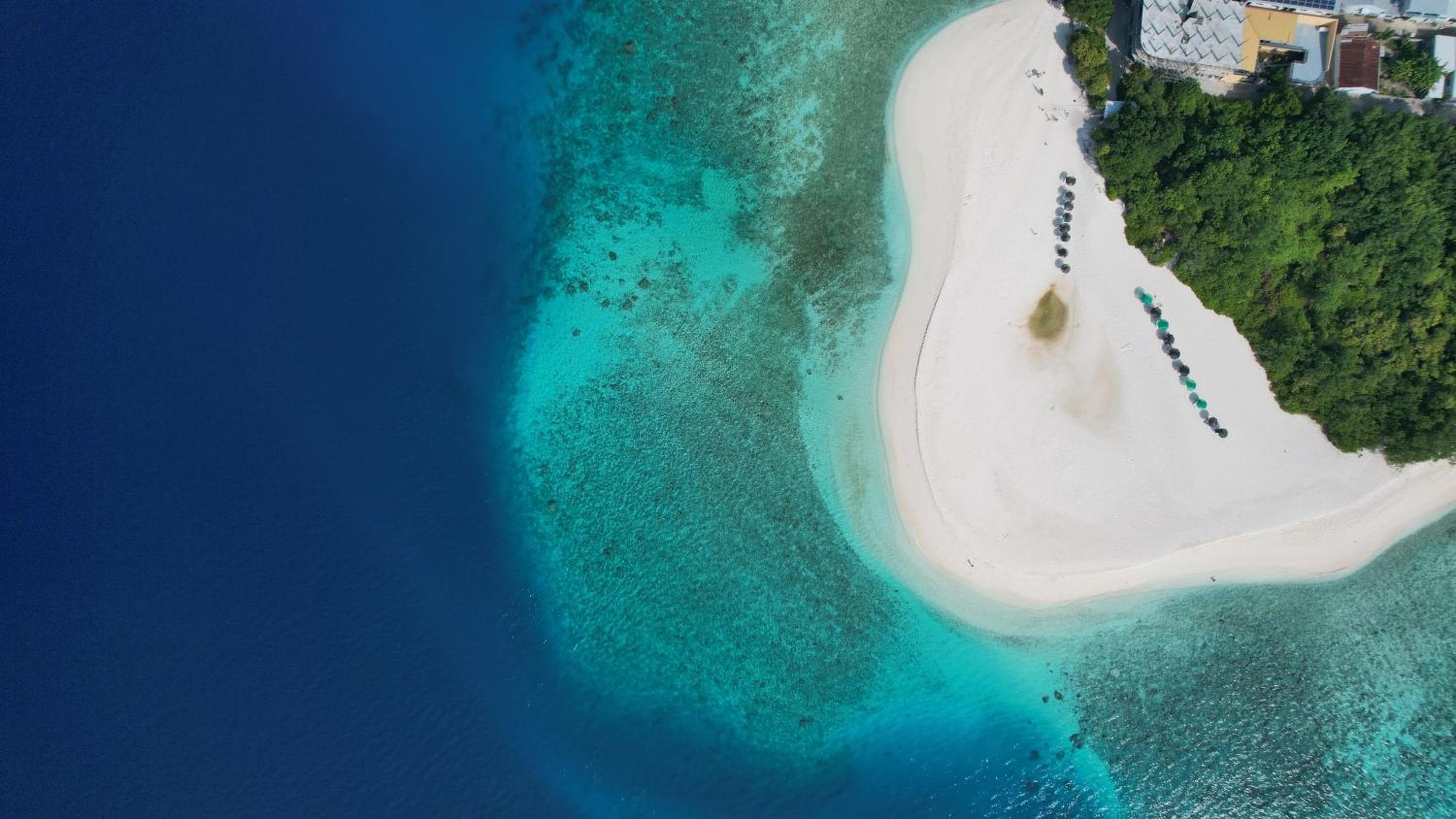 La Palma Suites - View 5