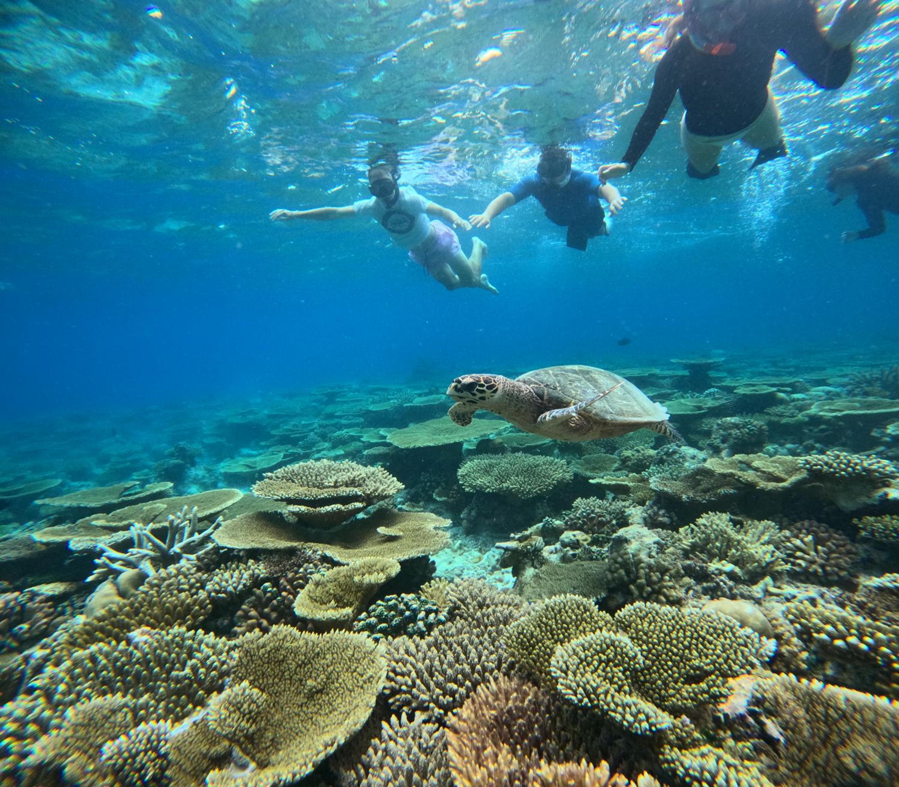 La Palma Suites - View 20