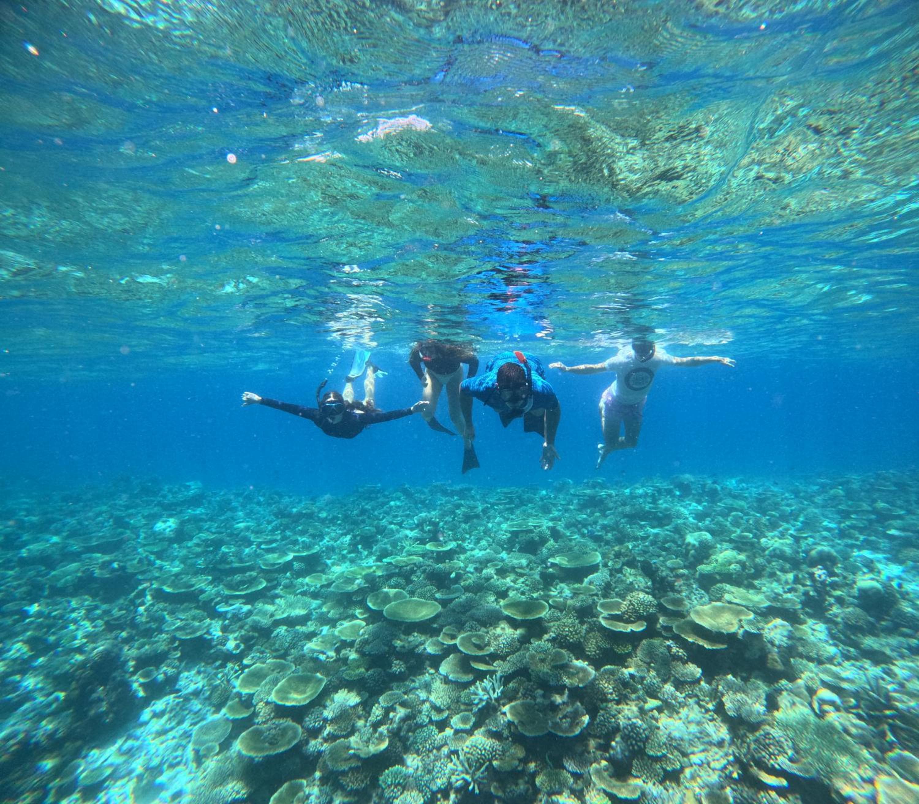 La Palma Suites - View 32