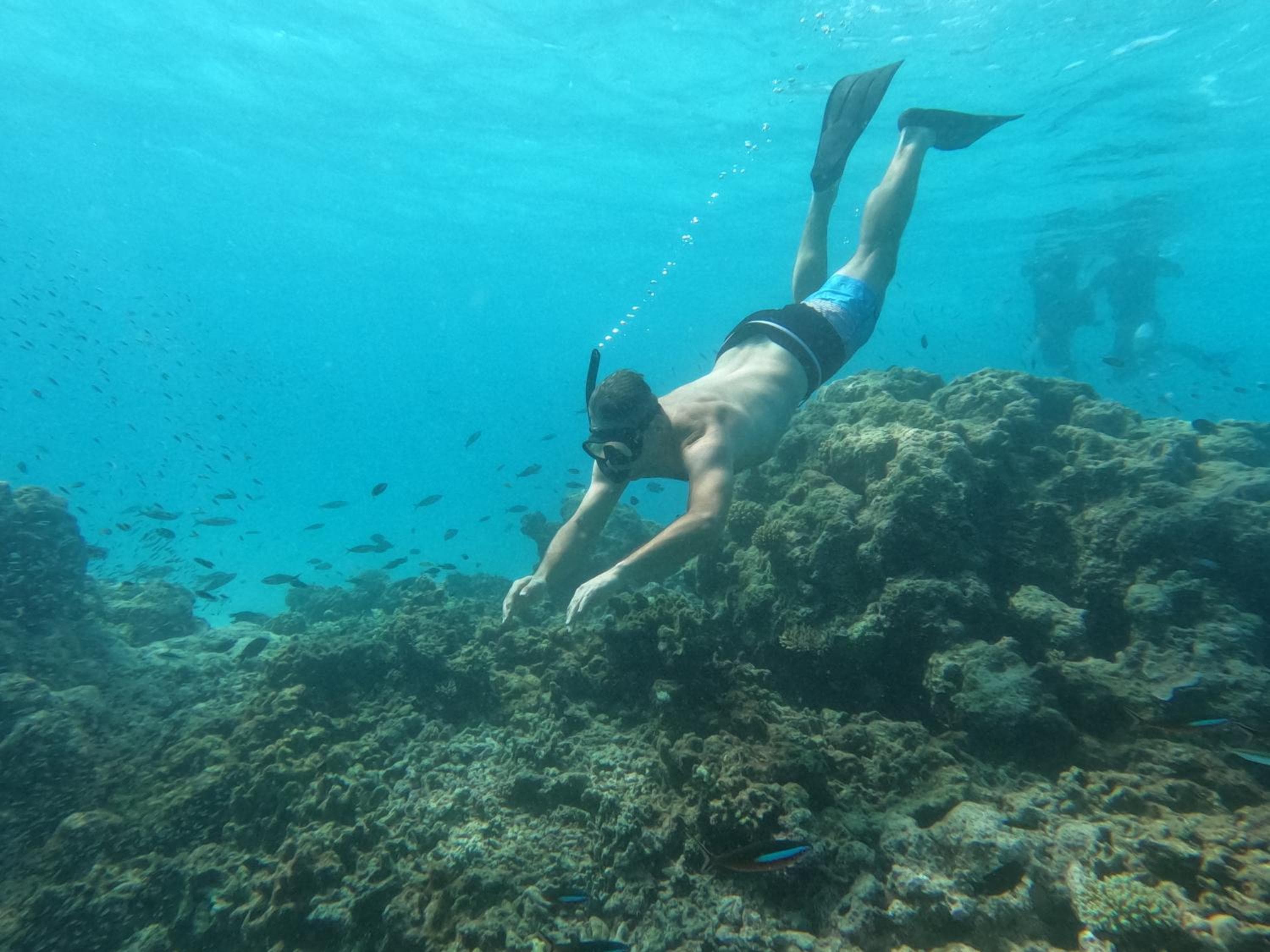 La Palma Suites - View 34