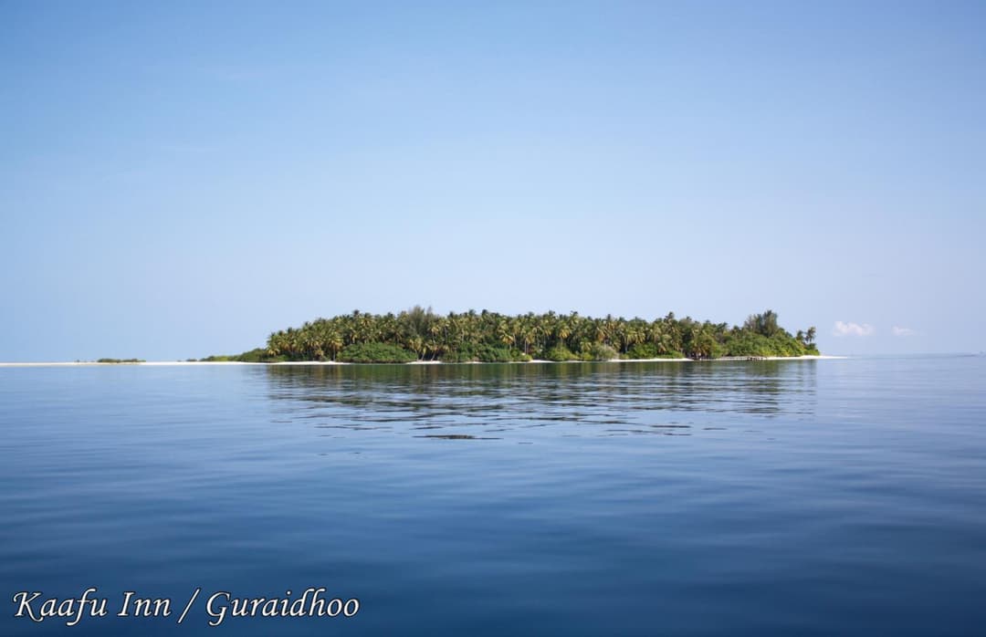 Kaafu Inn Guraidhoo - View 68