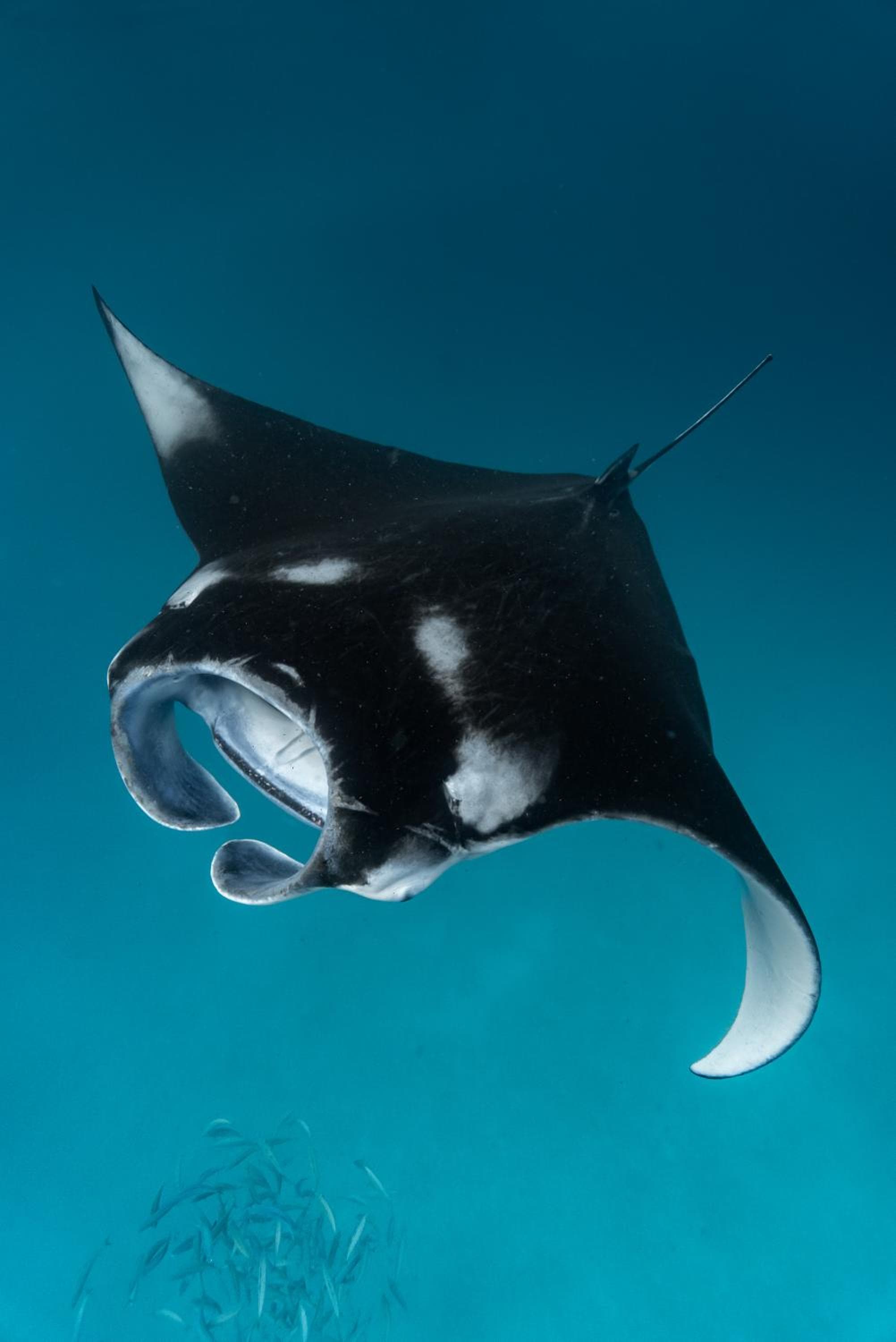 Thundi Village & Spa - View 7