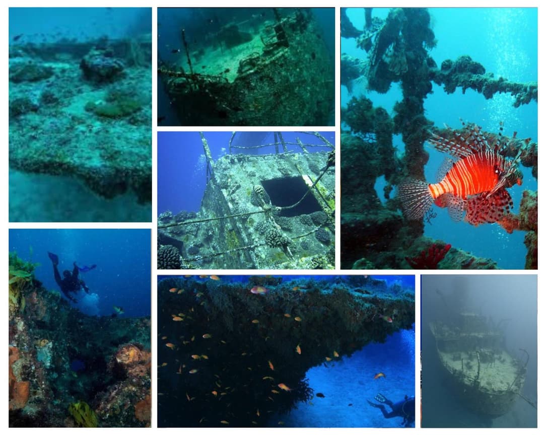 Pearl Himandhoo - View 2