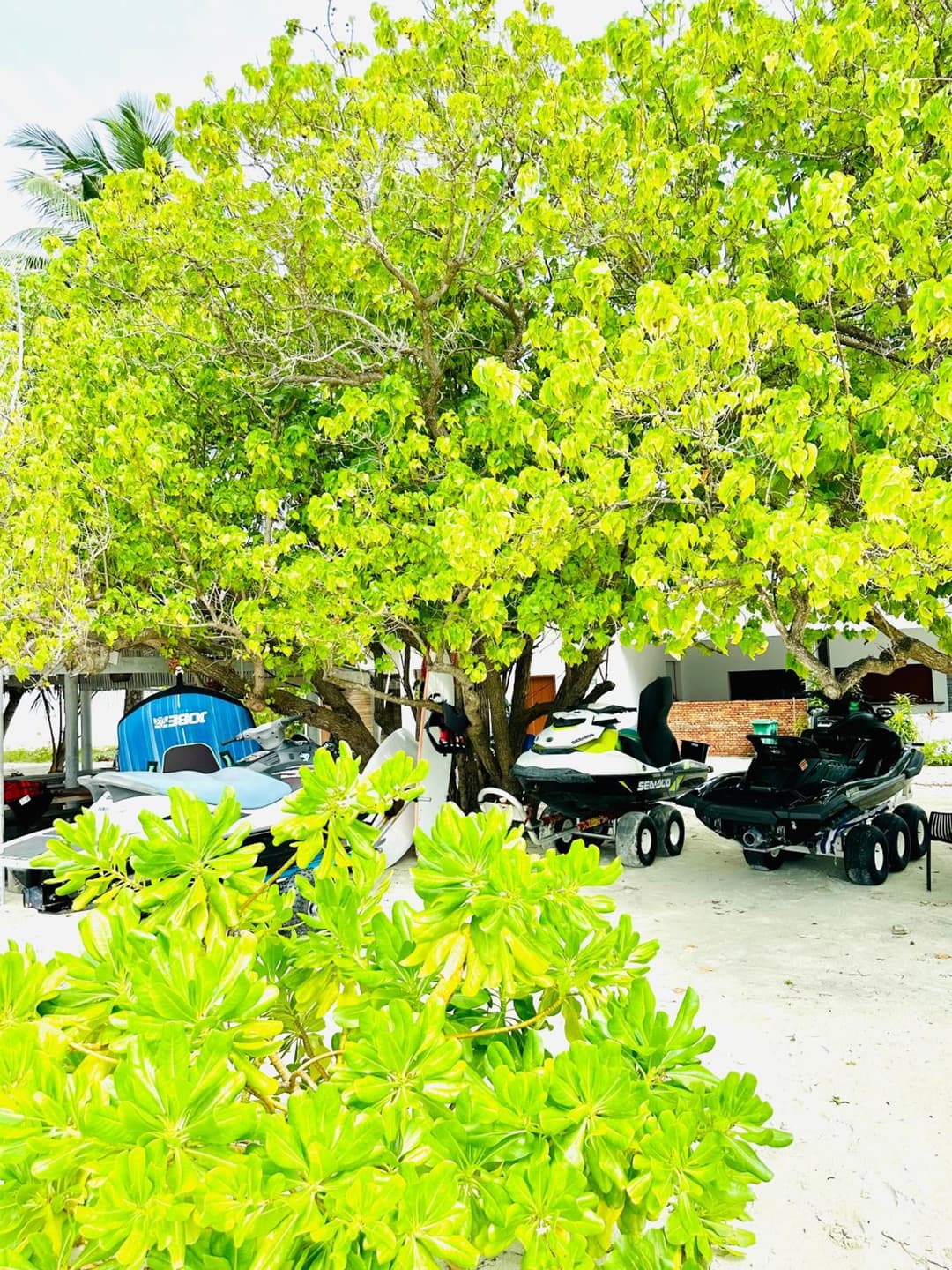 YUVi Blue Guesthouse at Himmafushi - View 33