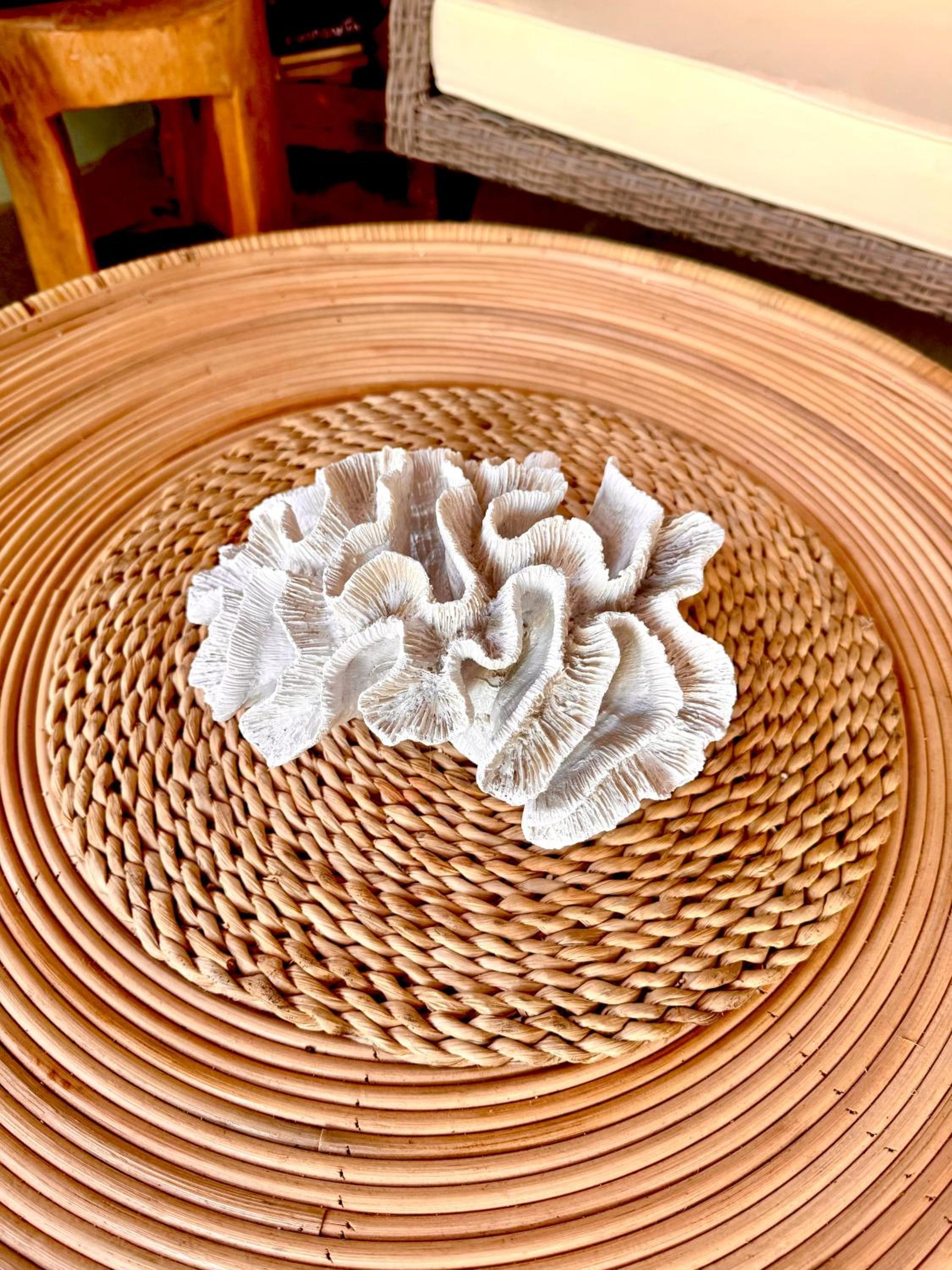 Sands Grand - View 21