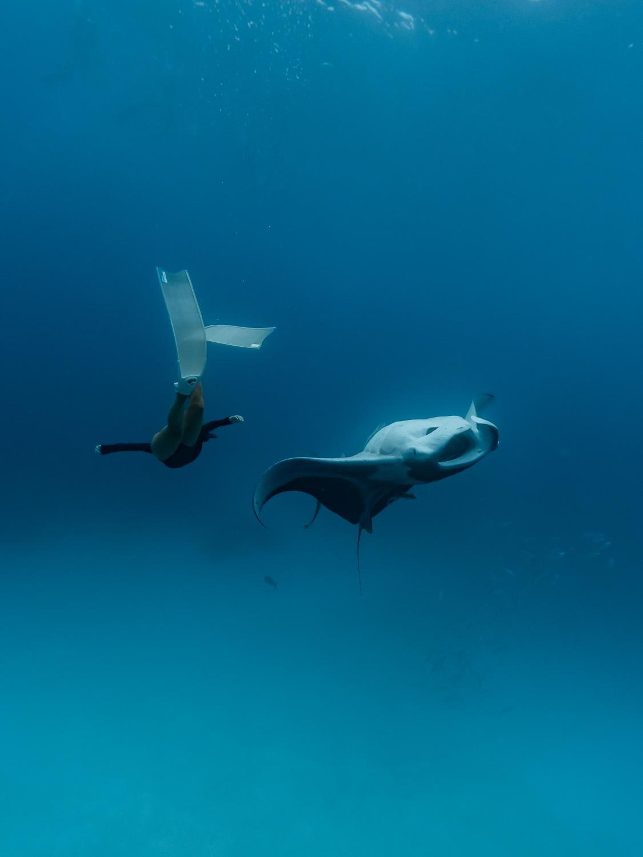 Thundi Village & Spa - View 105