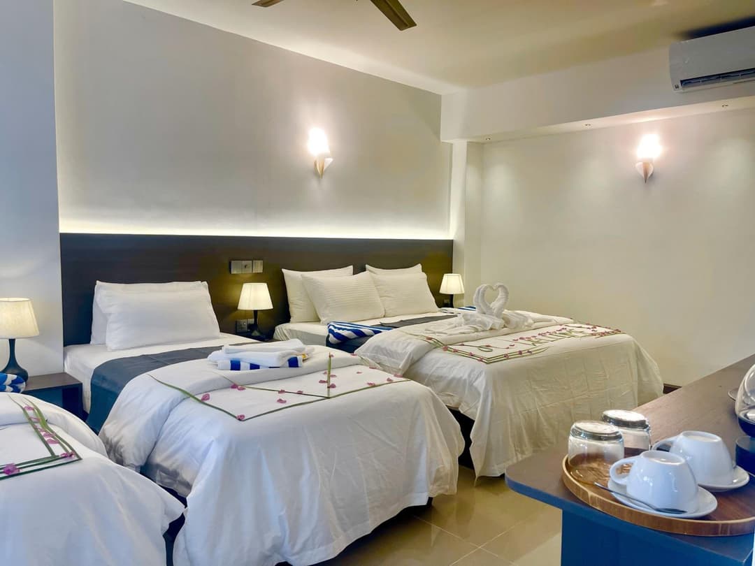 La Palma Suites - View 10