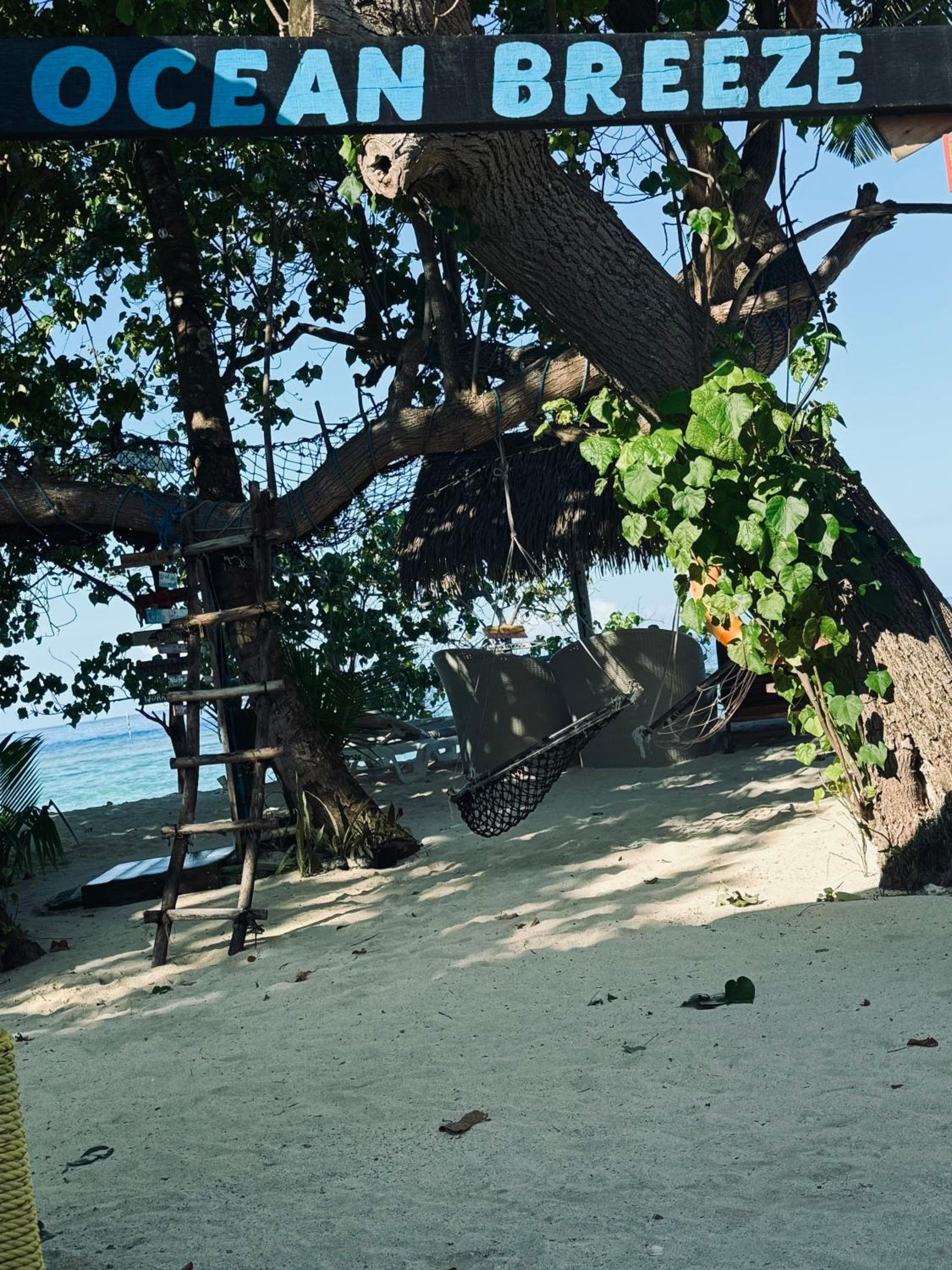 Rasdu View Inn - View 260