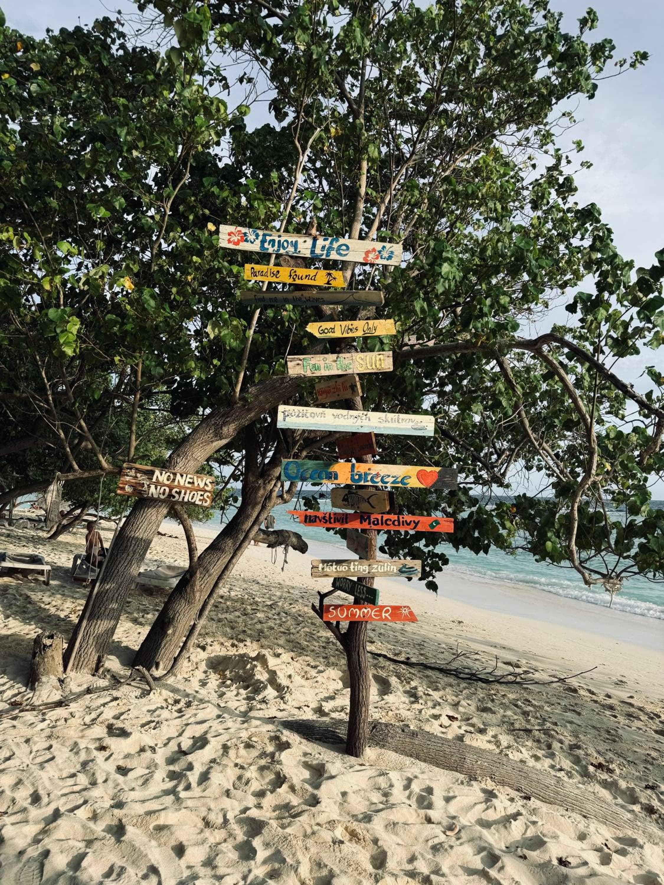 Rasdu View Inn - View 262