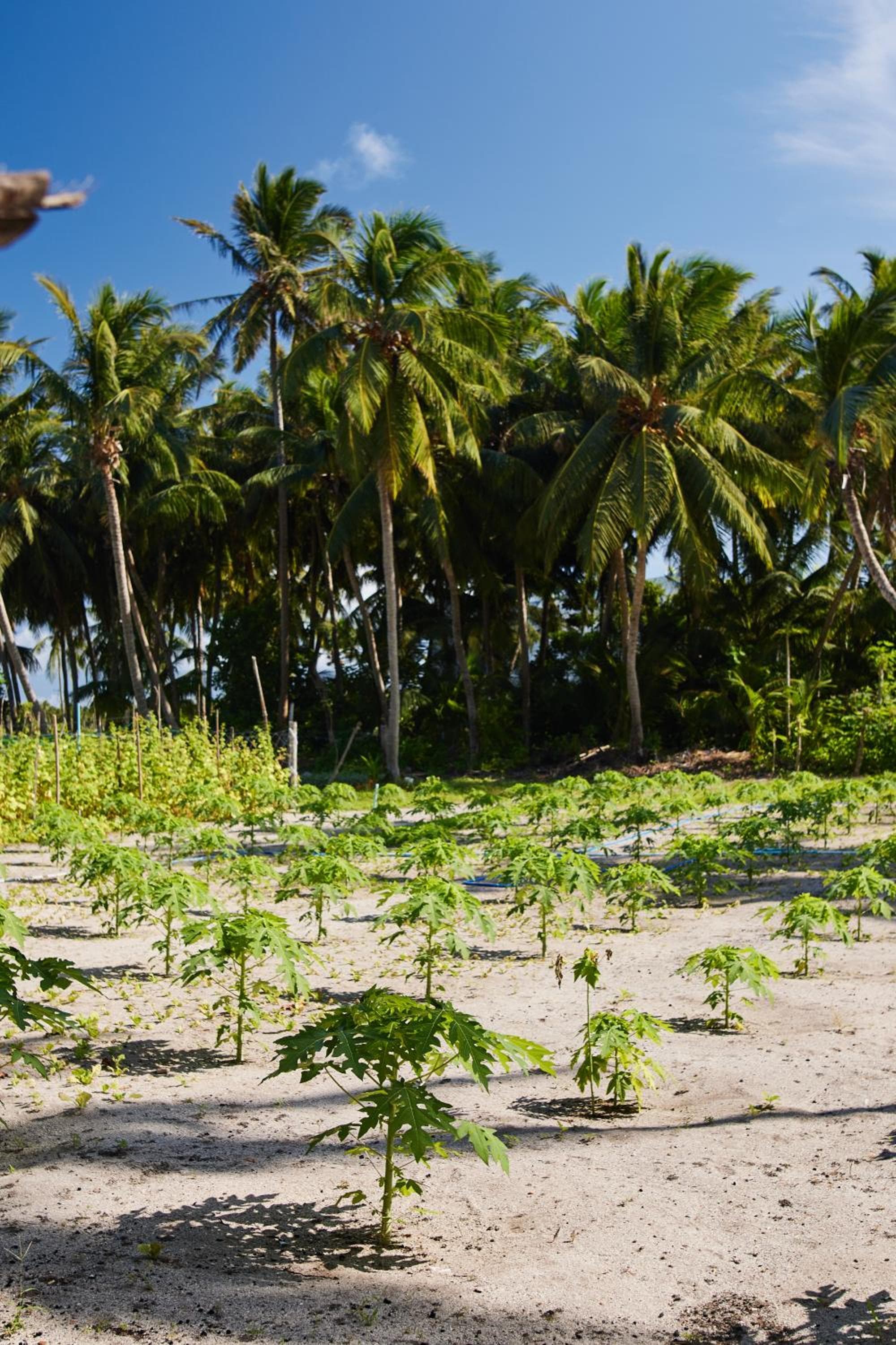 Relax Lodge - View 6