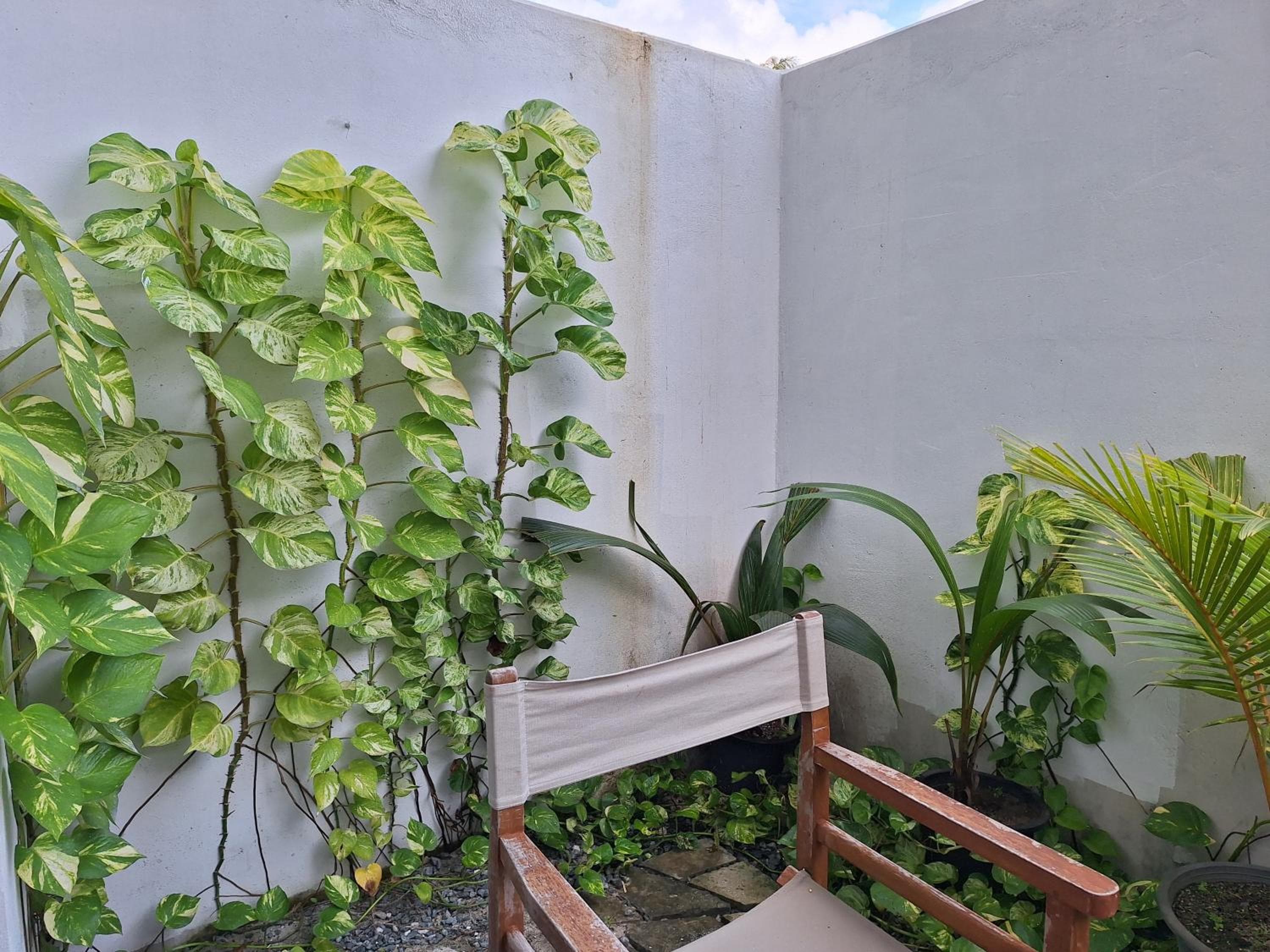 Thundi Village & Spa - View 97