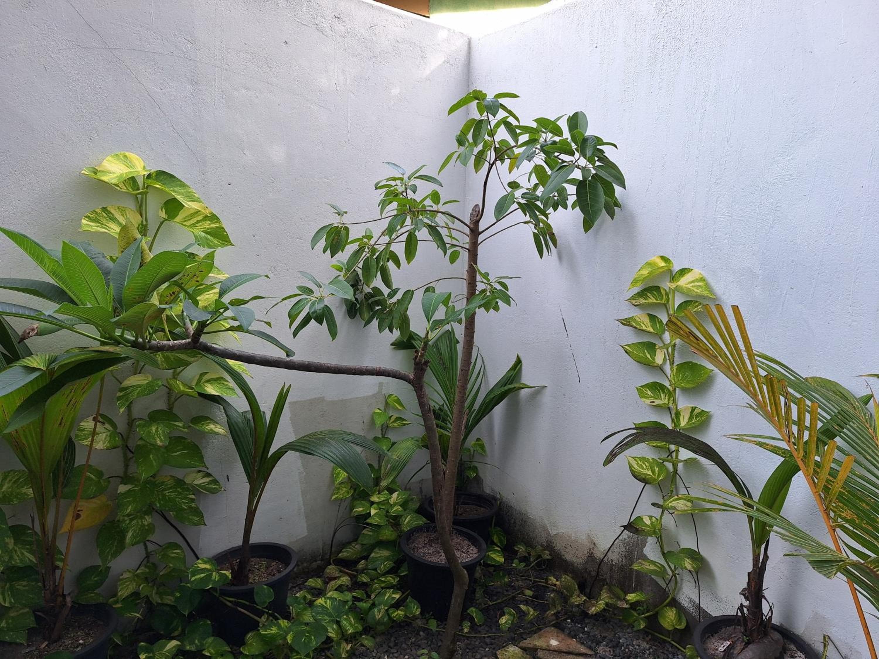 Thundi Village & Spa - View 98