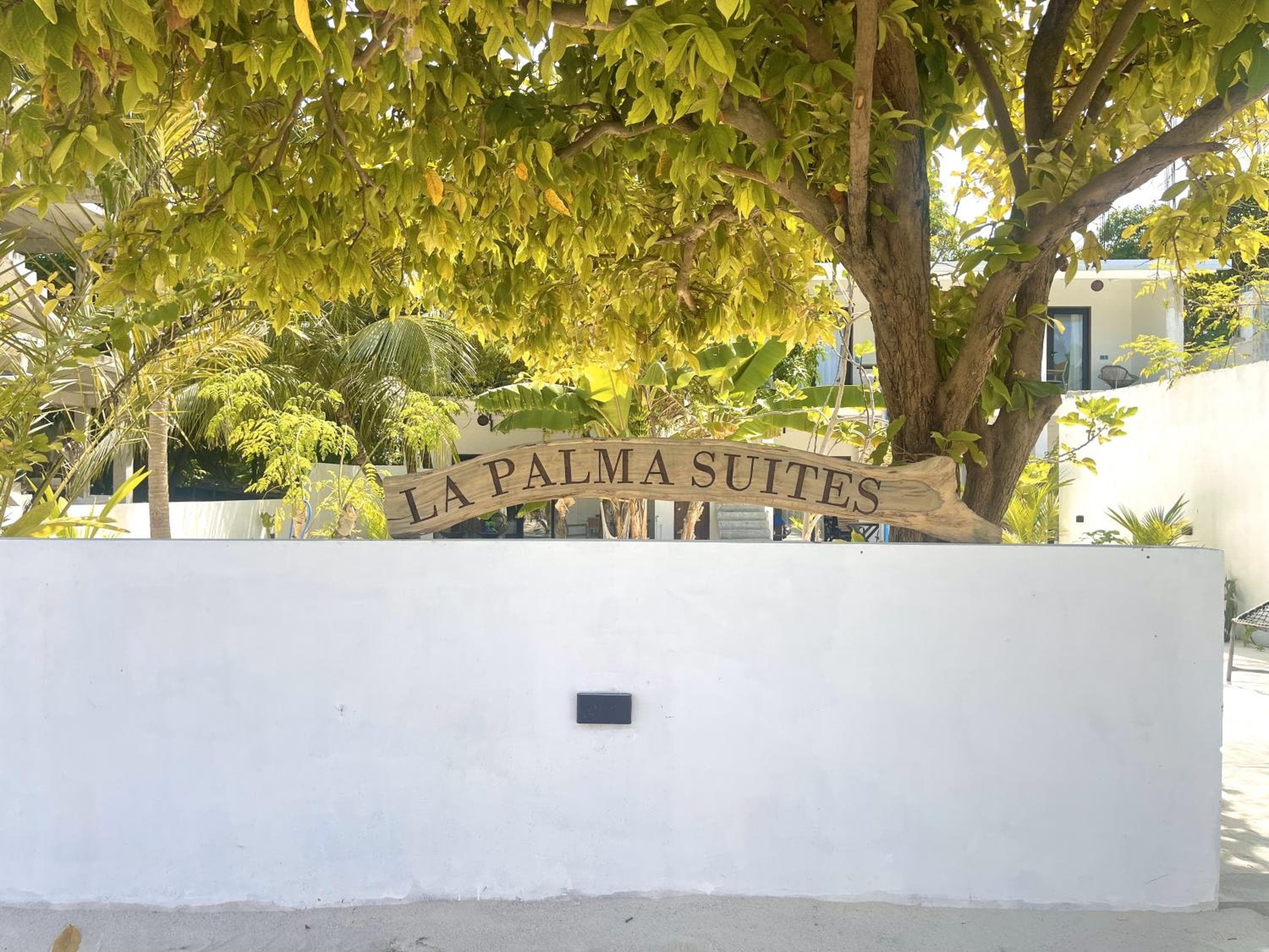 La Palma Suites - View 26