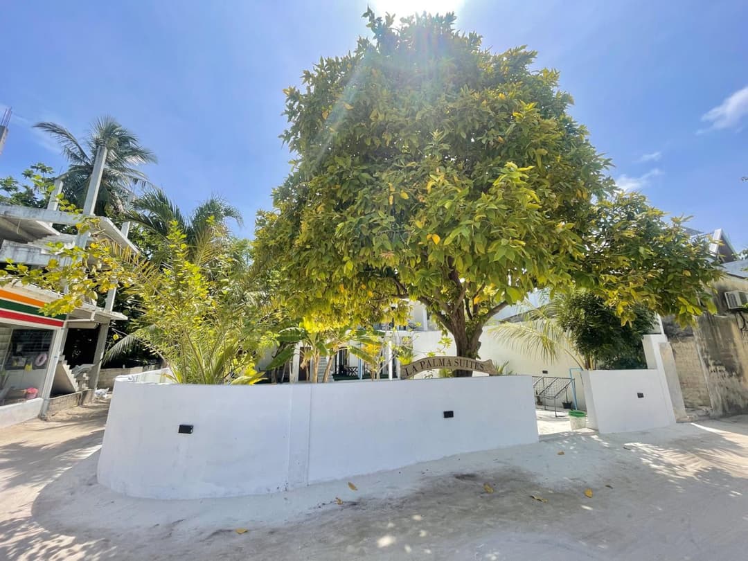 La Palma Suites - View 35
