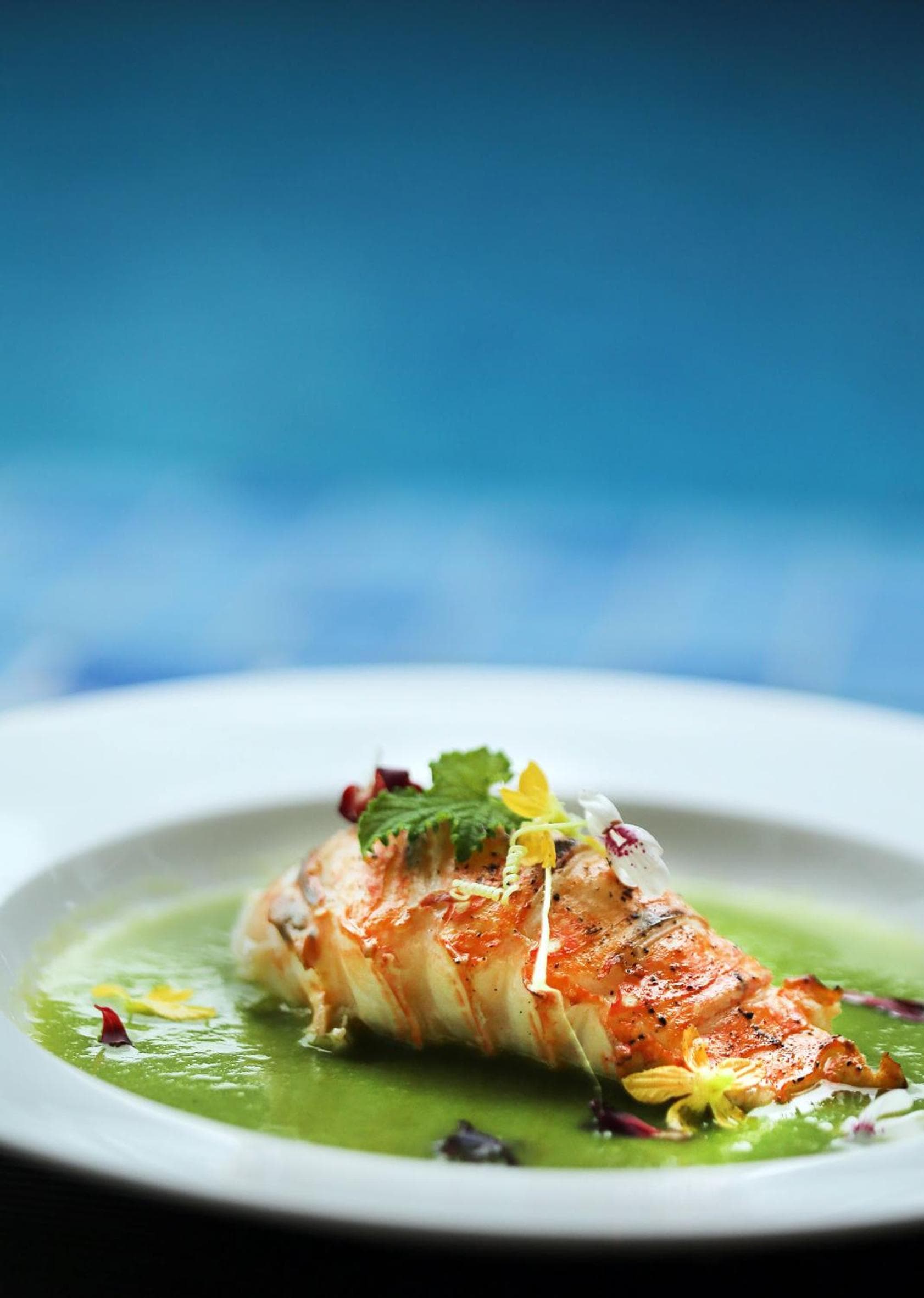 Plumeria Maldives - View 45