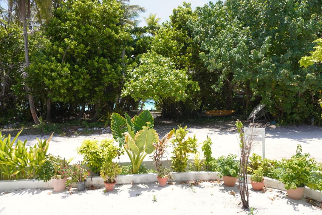 TME Retreats Dhigurah - View 44