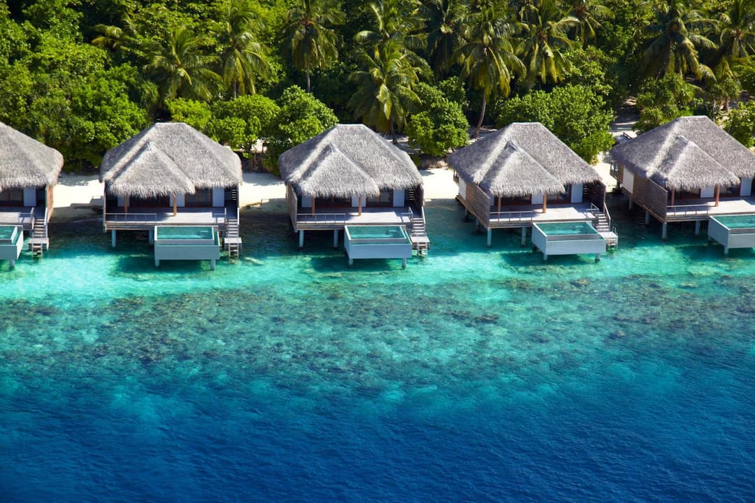 Dusit Thani Maldives - 50 percent off on Transfers for Stays of 5 Nights stay until 20 December 2026 - View 104