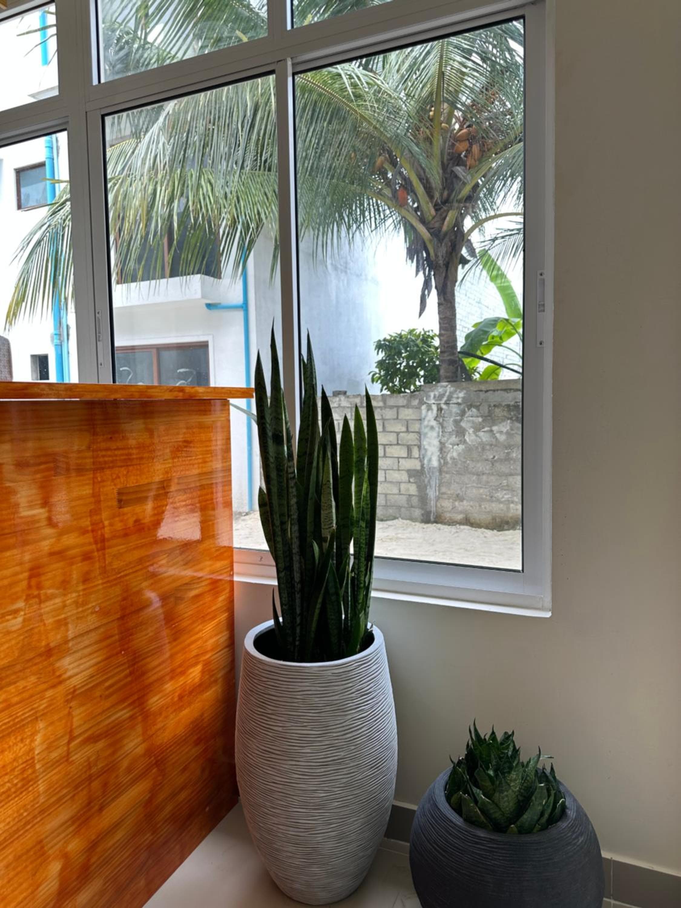 YUVi Blue Maldives & spa - View 35