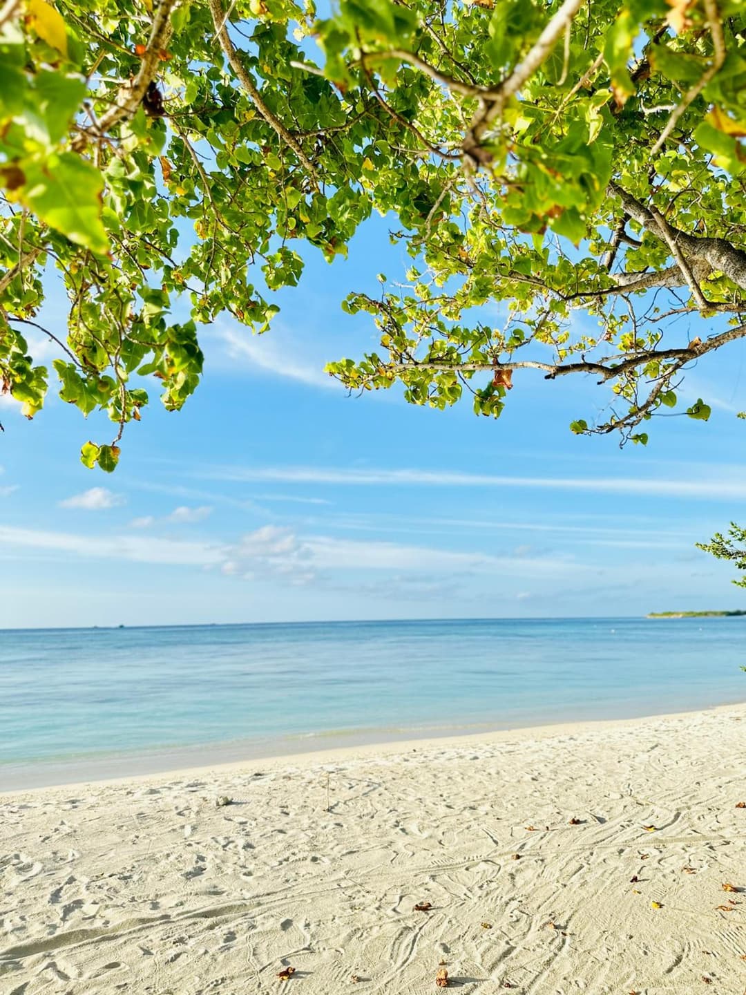 YUVi Blue Guesthouse at Himmafushi - View 9
