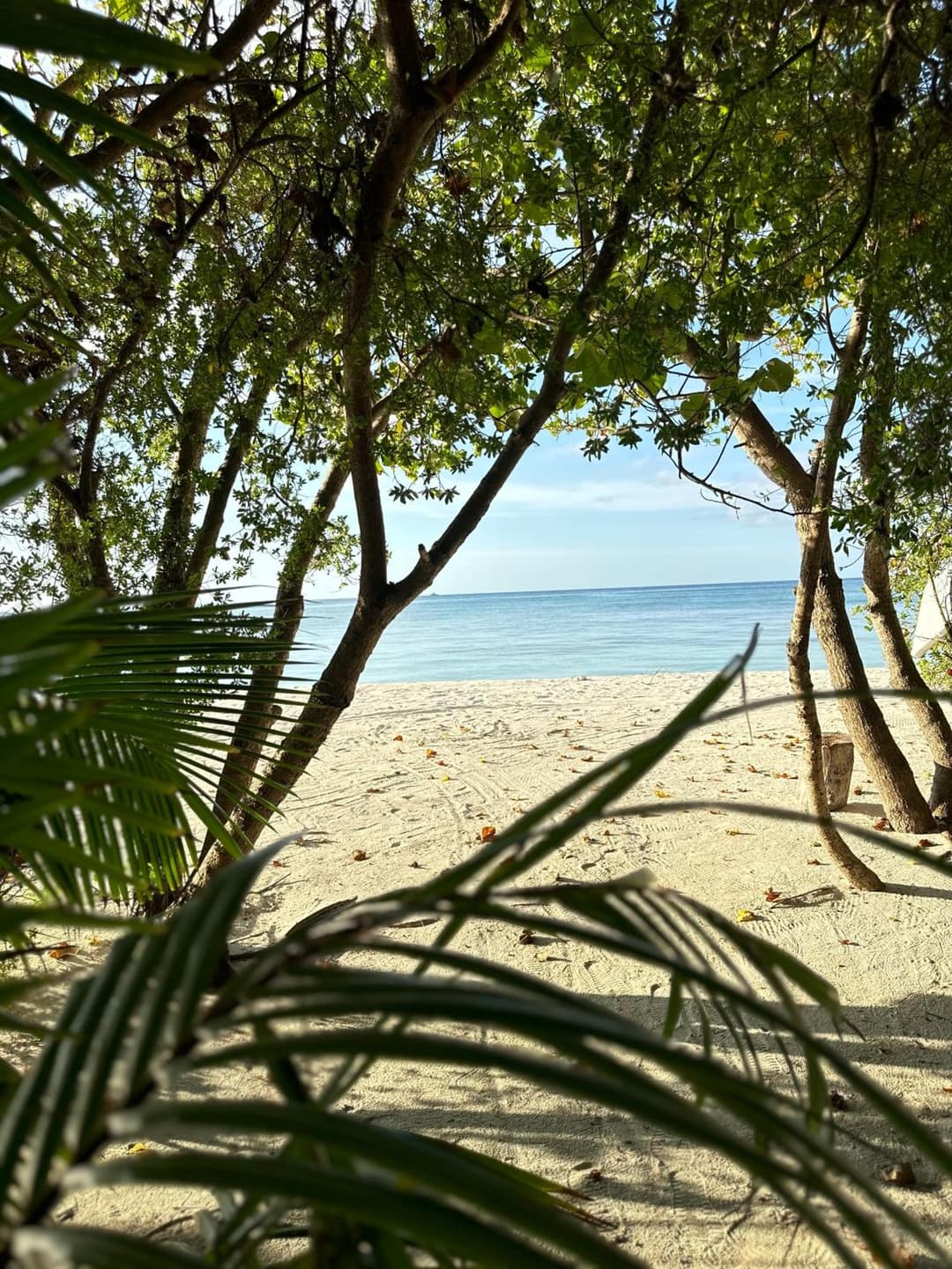 YUVi Blue Guesthouse at Himmafushi - View 12