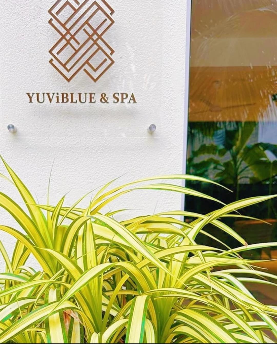 YUVi Blue Guesthouse at Himmafushi - View 7