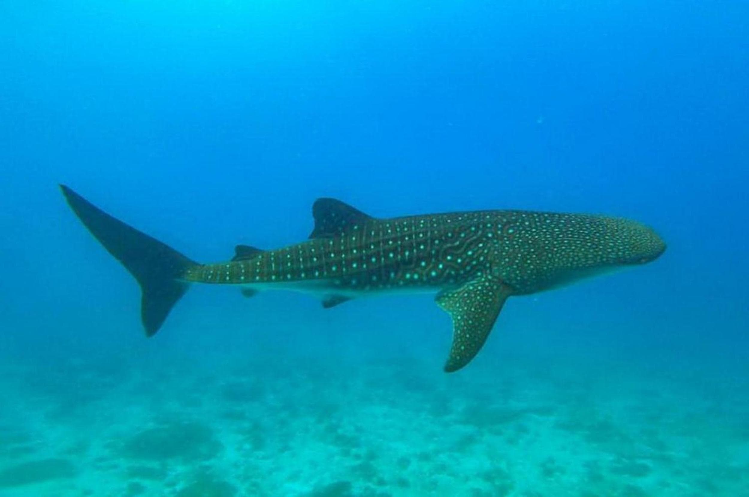 Adroit Sunset View - View 2