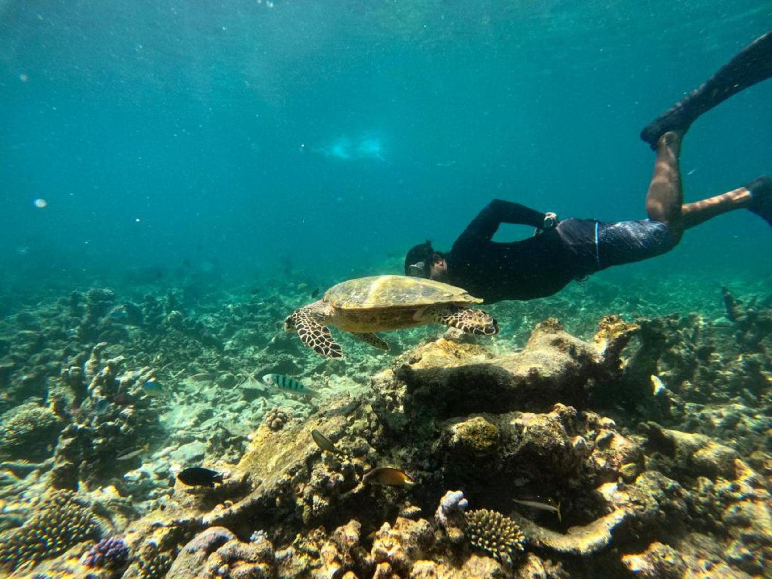 Adroit Sunset View - View 11