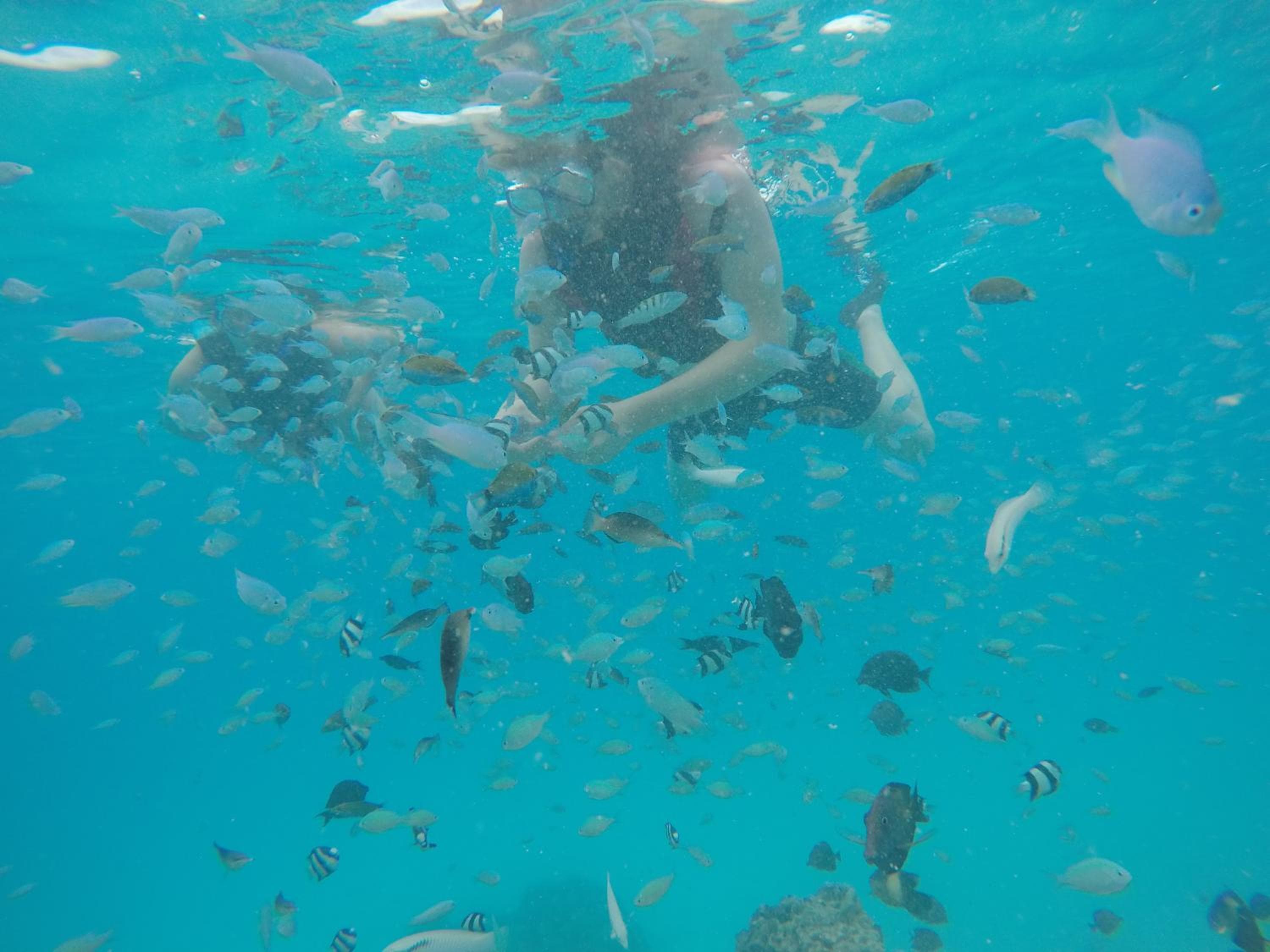 Ras Rana Lodge - View 171