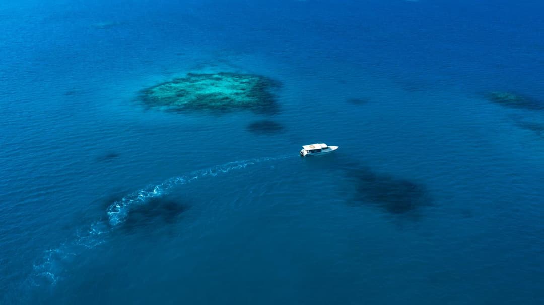 Taj Exotica Resort & Spa, Maldives - Free Airport Transfers - View 62